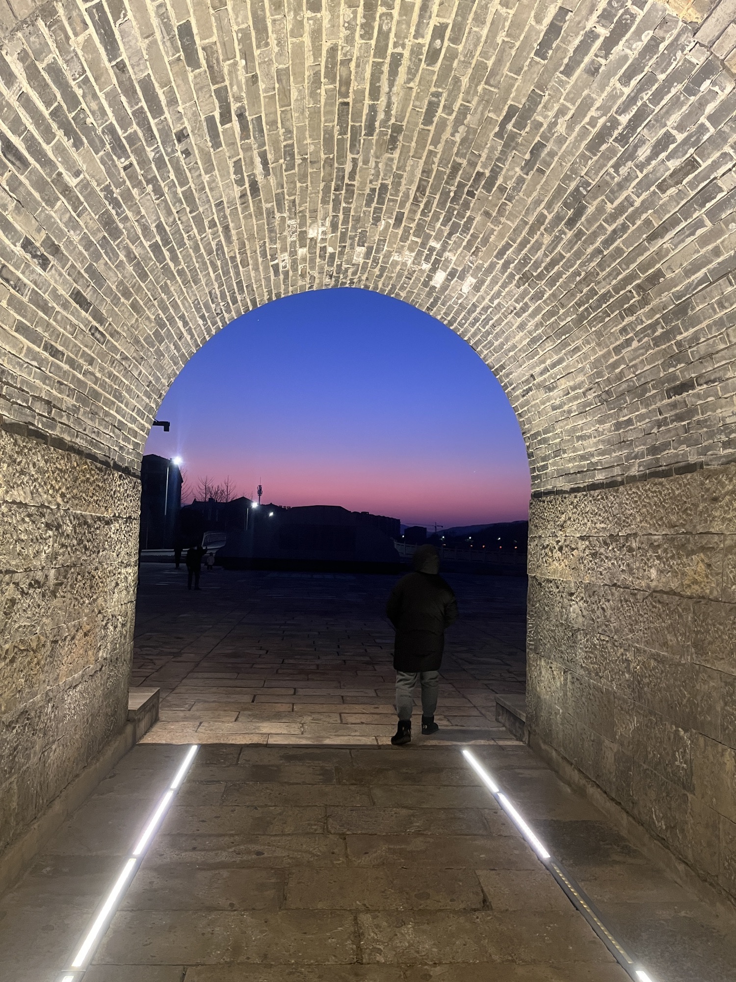 古朗杏园旅行图片 3