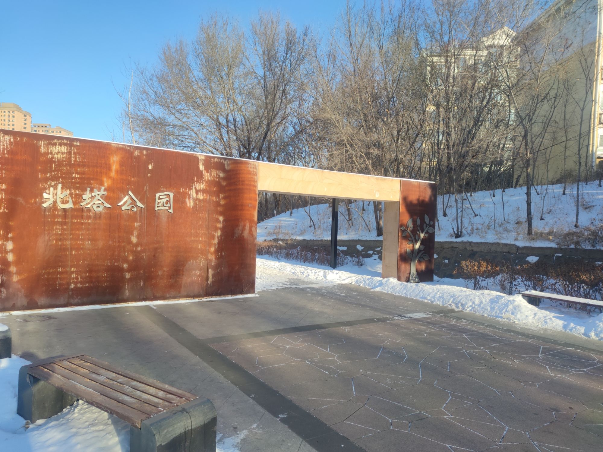 莲花景墙旅行图片 1