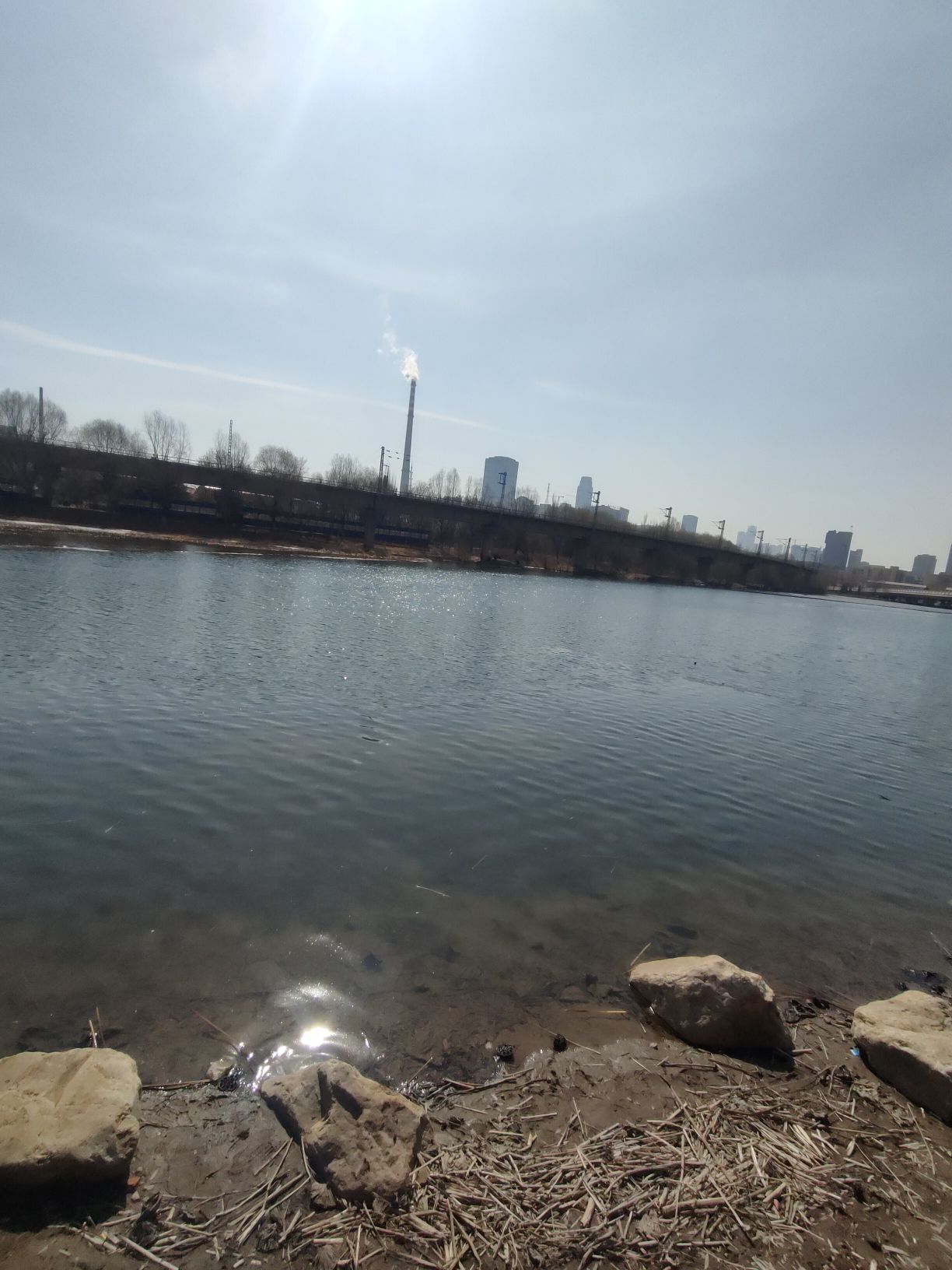 莲花景墙旅行图片 1