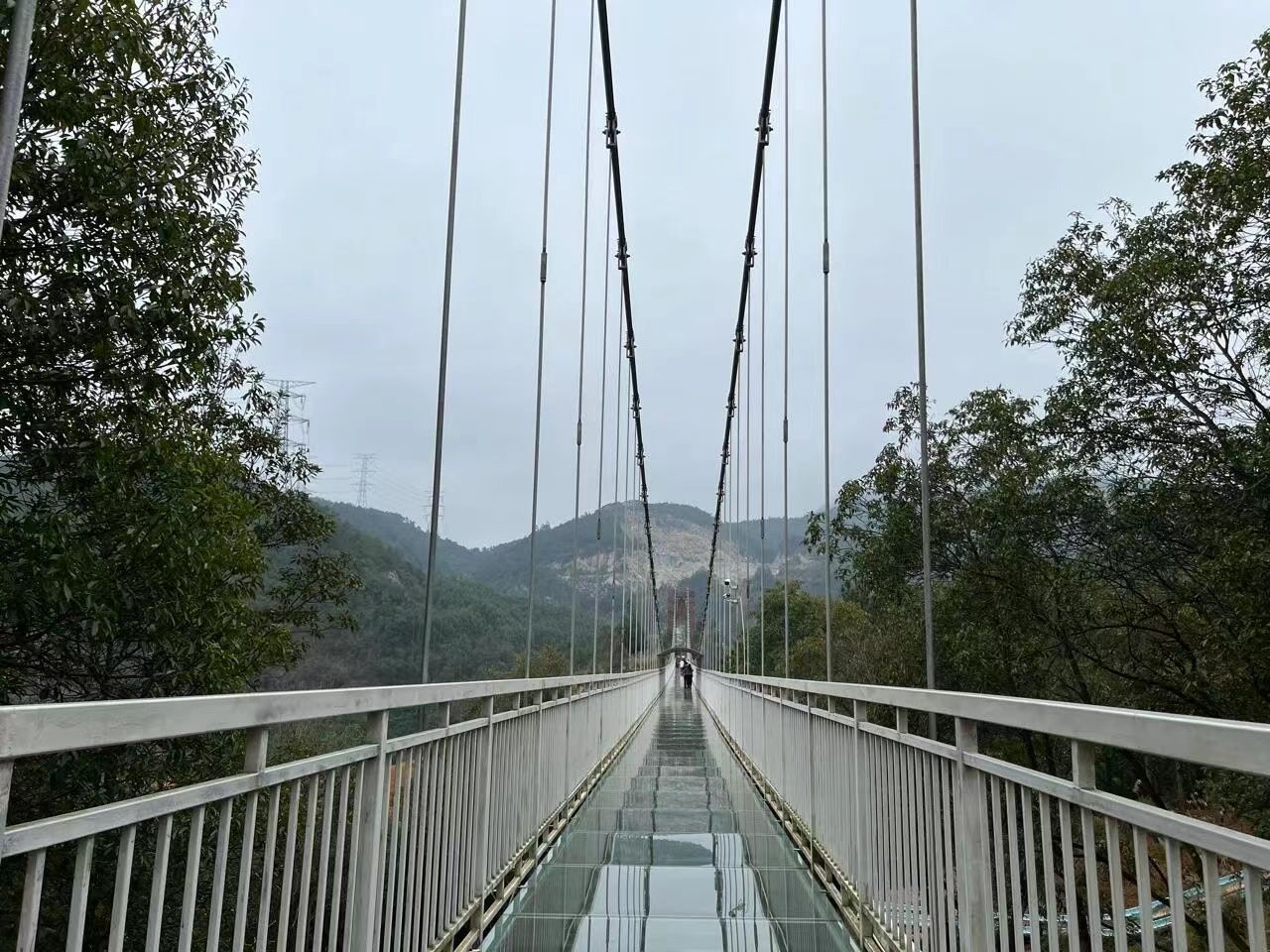 金樟谷森林公园旅行图片 3
