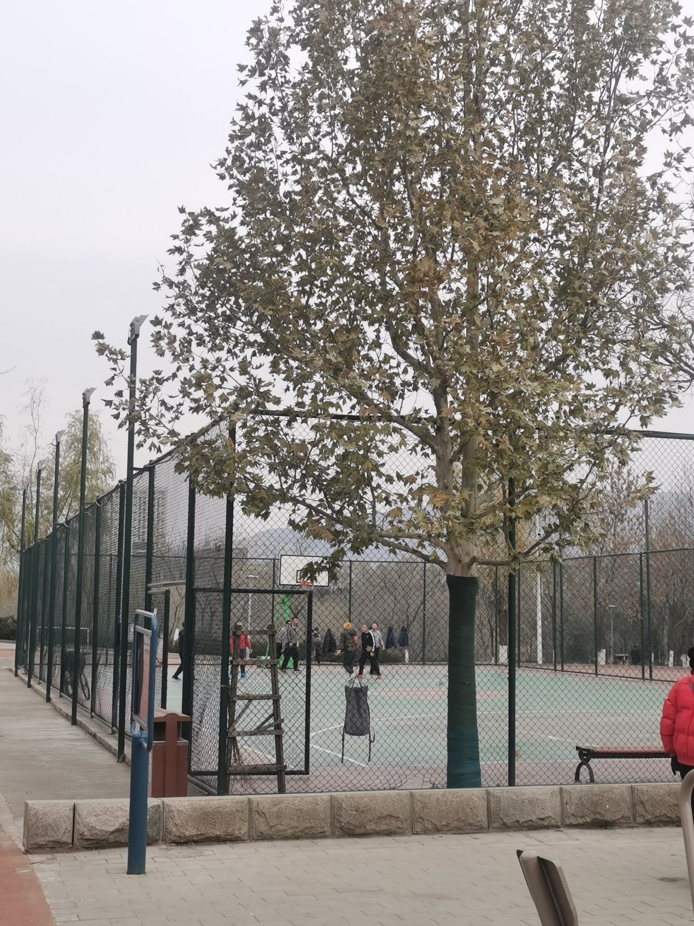 场地封面-滨河世纪广场公园-篮球场