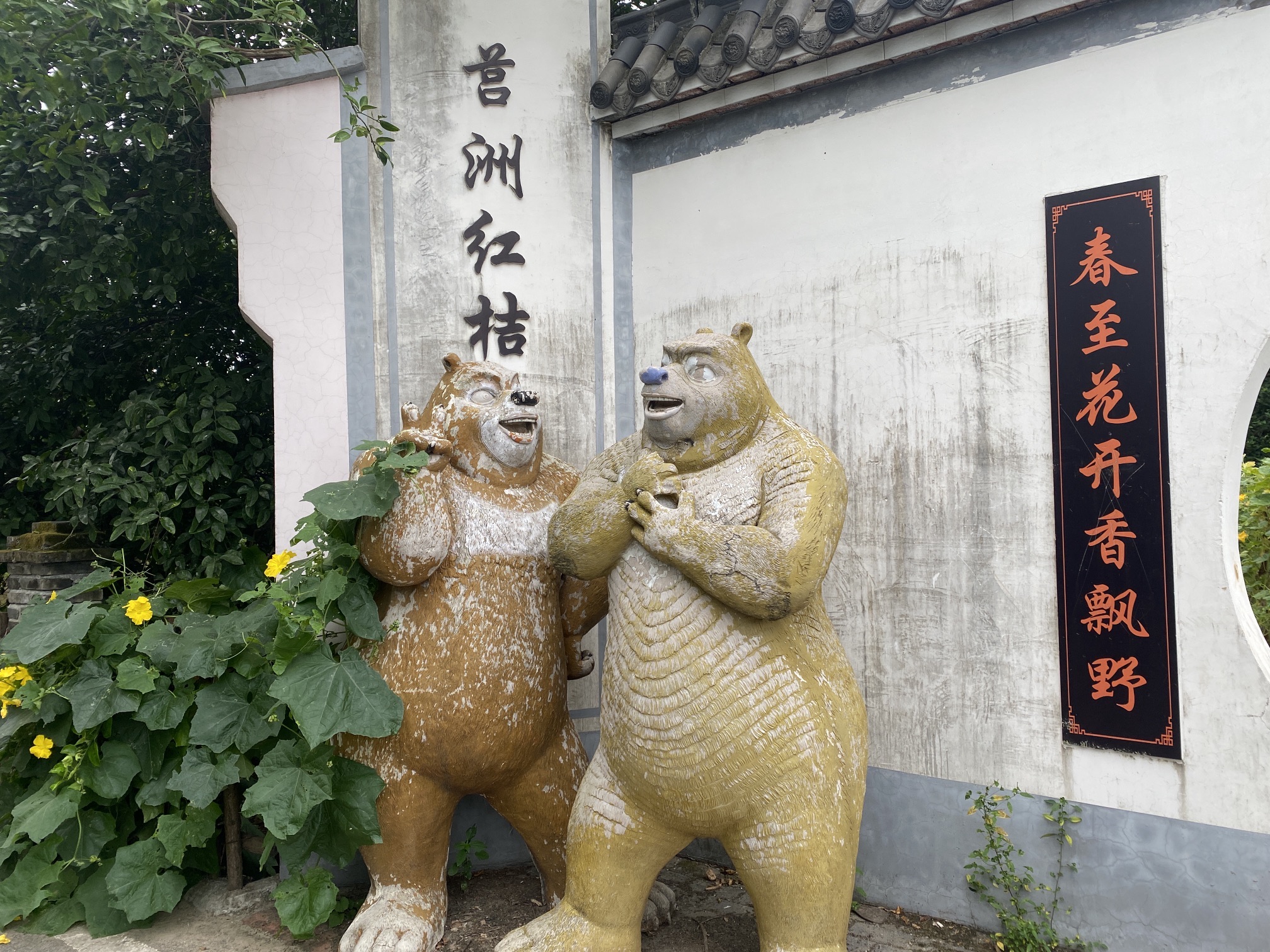 莒洲岛风景区旅行图片 2