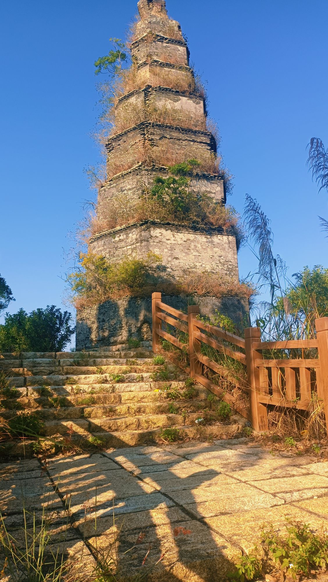 鳌头塔旅行图片 1