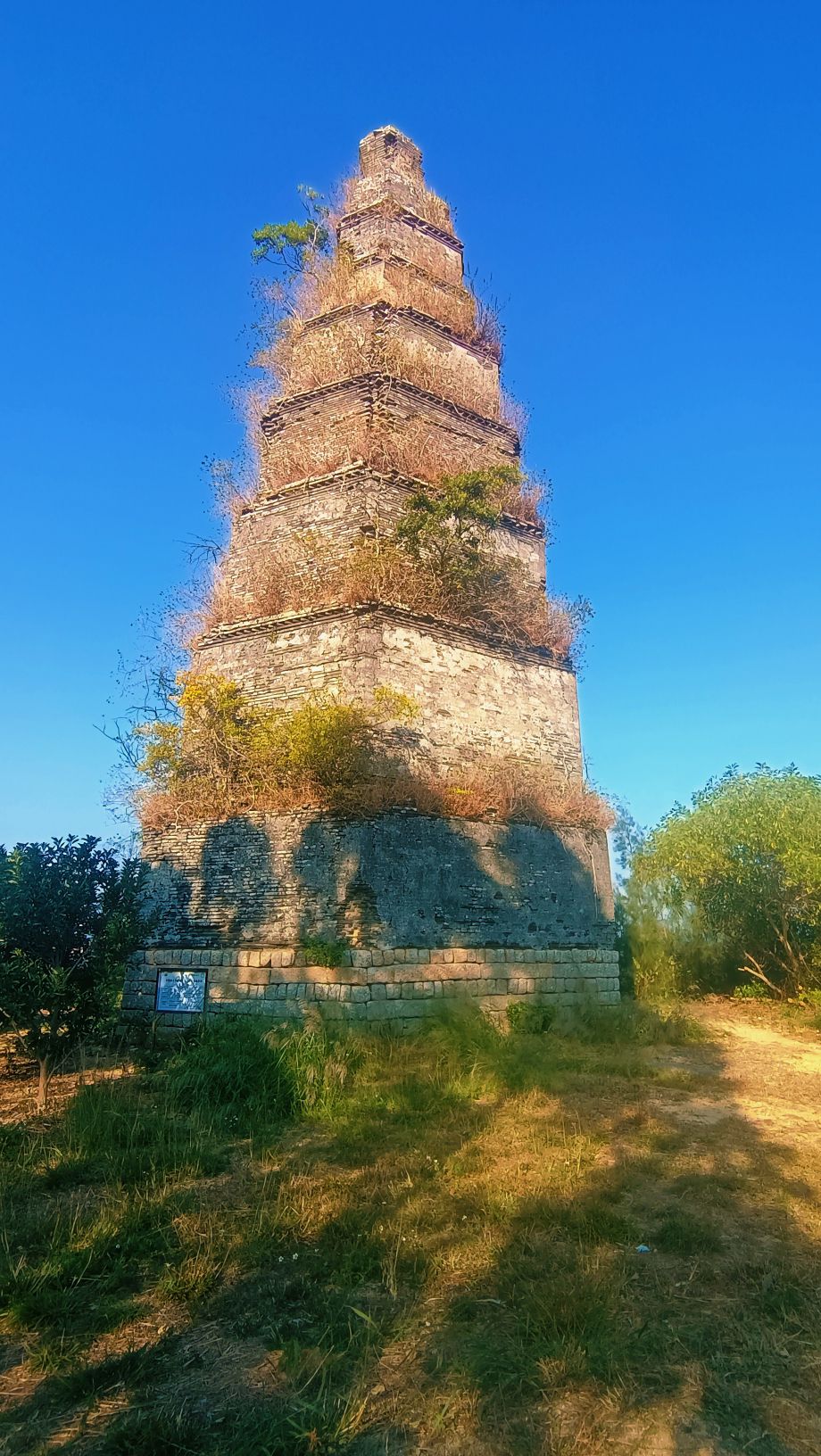 鳌头塔旅行图片 2
