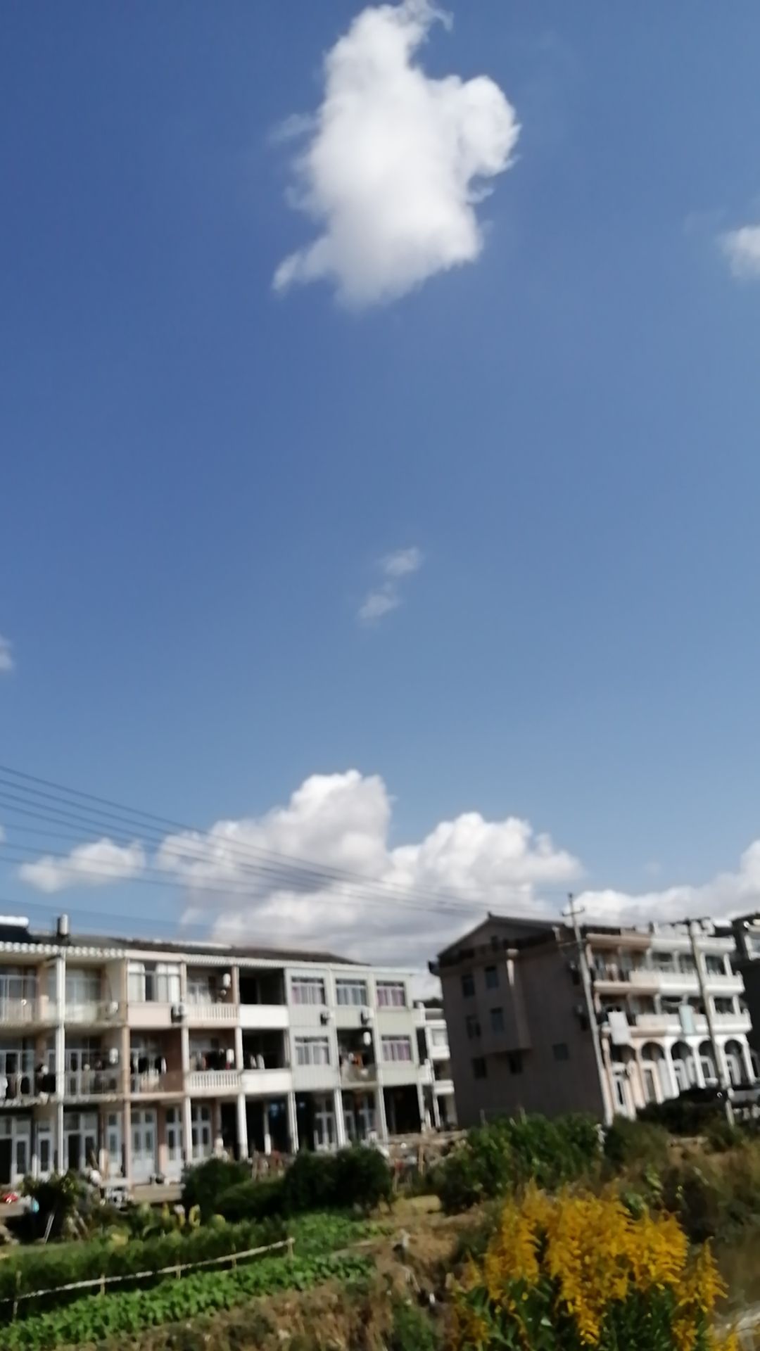 九龙古道旅行图片 2