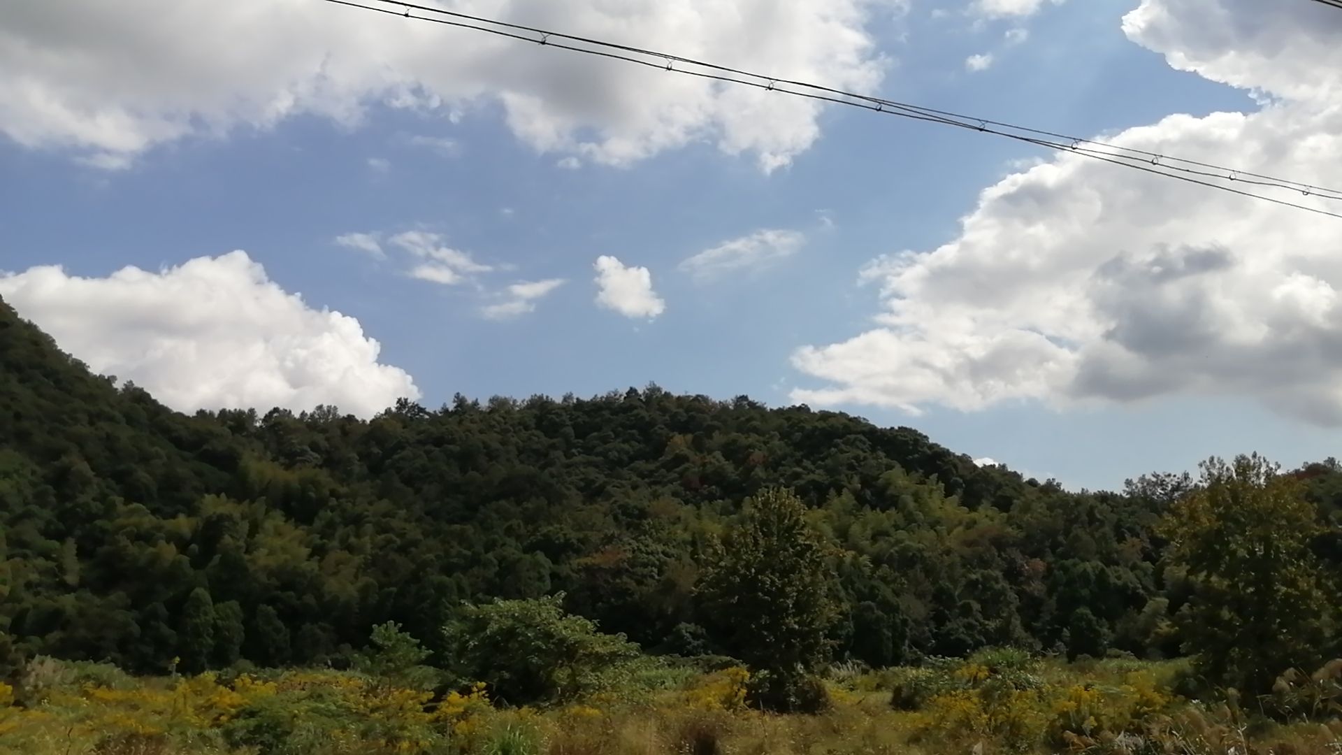 九龙古道旅行图片 1