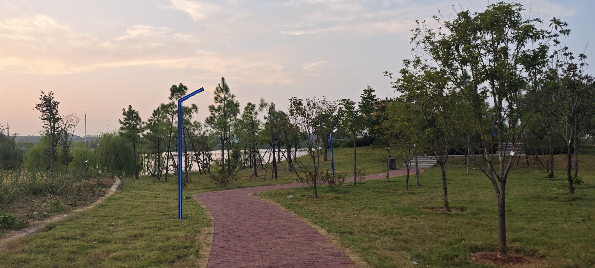 车湾湖生态公园