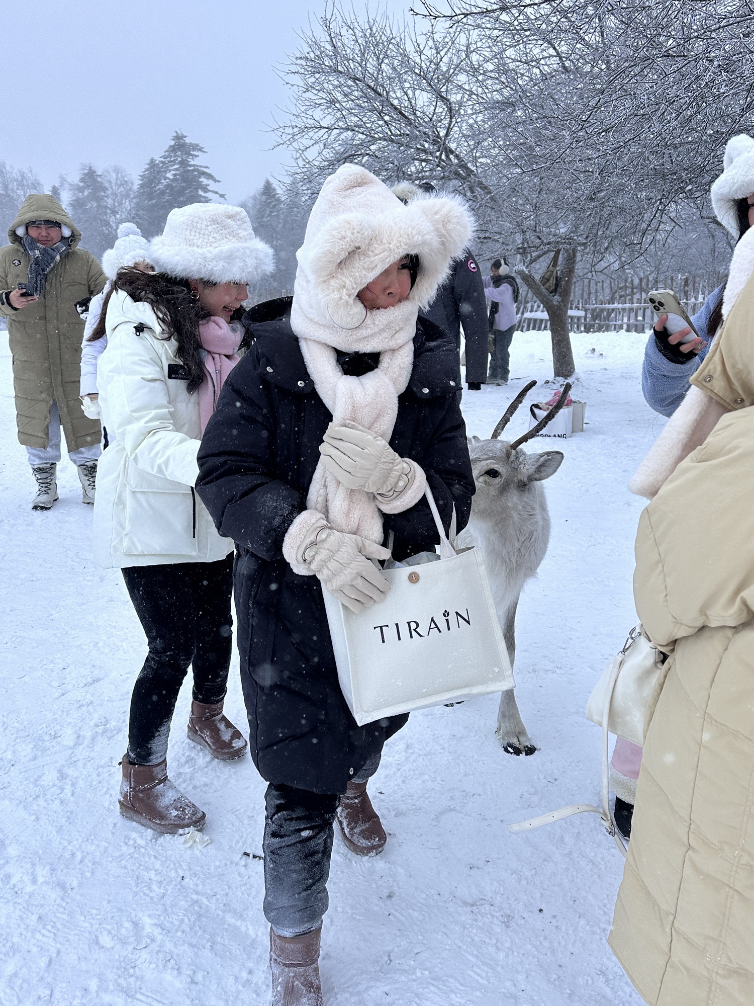 长白山雪岭景区旅行图片 2