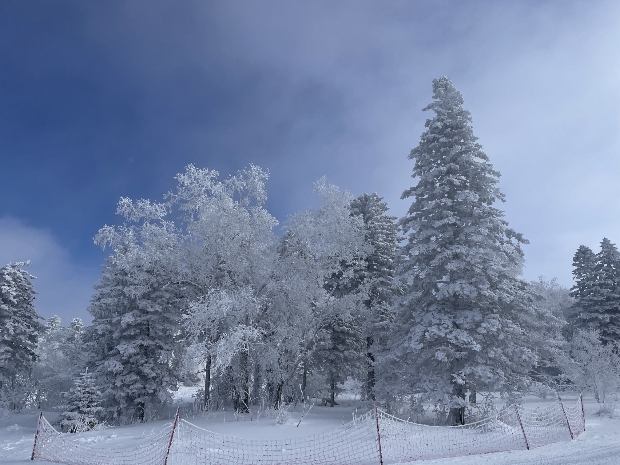 长白山雪岭景区旅行图片 3
