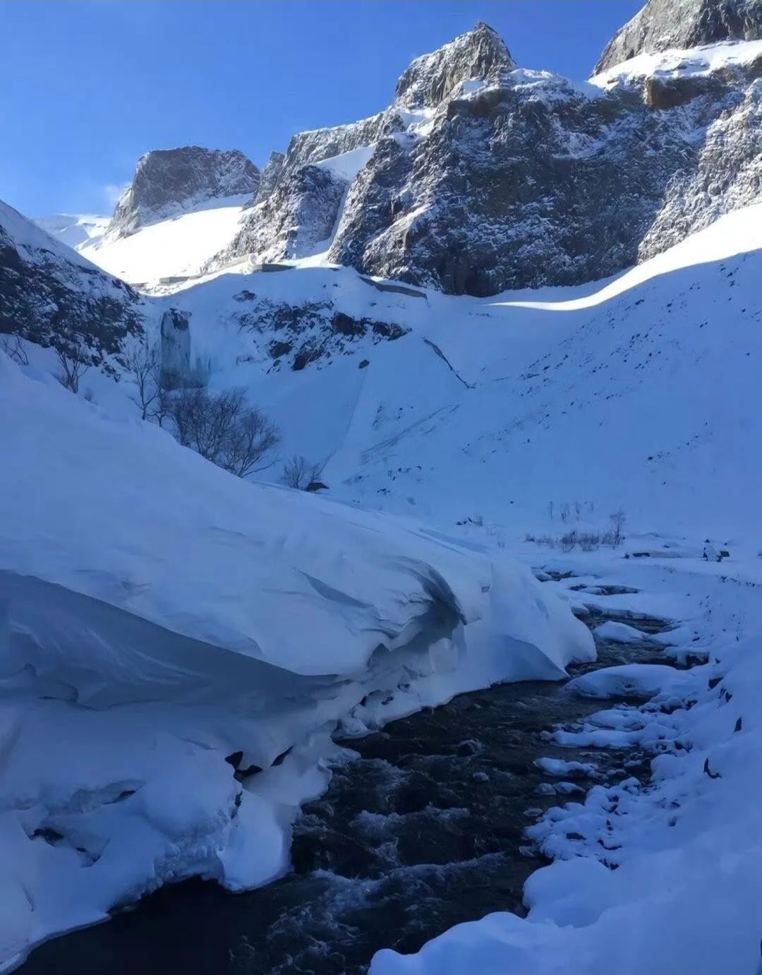 长白山雪岭景区旅行图片 1