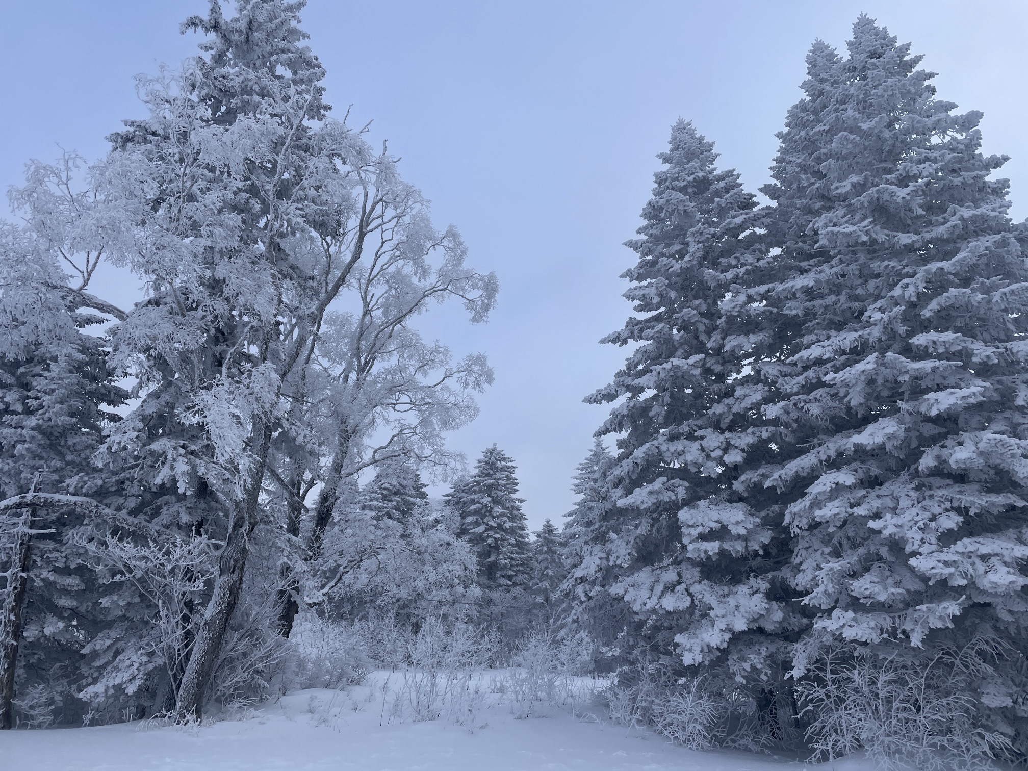 长白山雪岭景区旅行图片 1