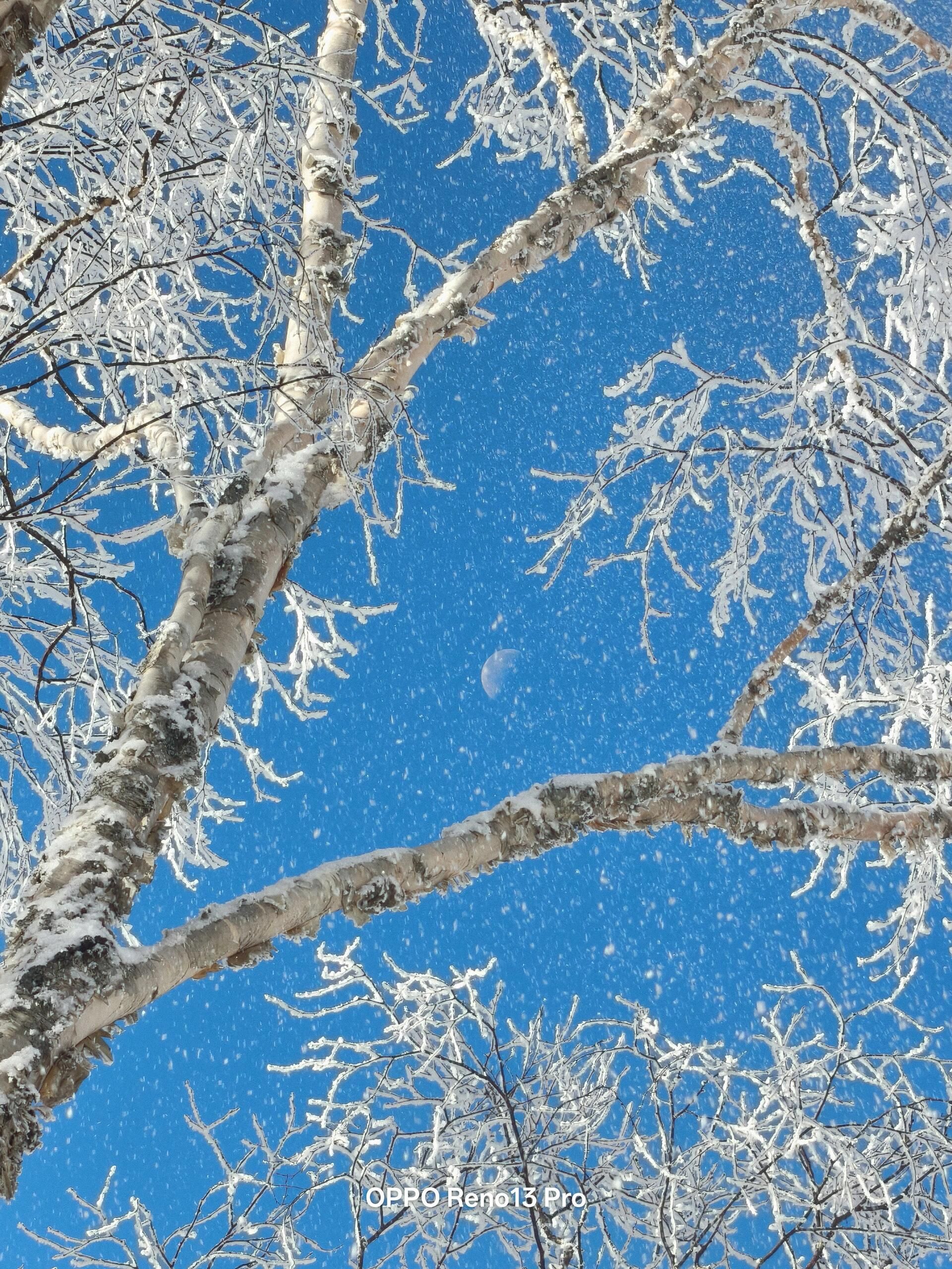 长白山雪岭景区旅行图片 1