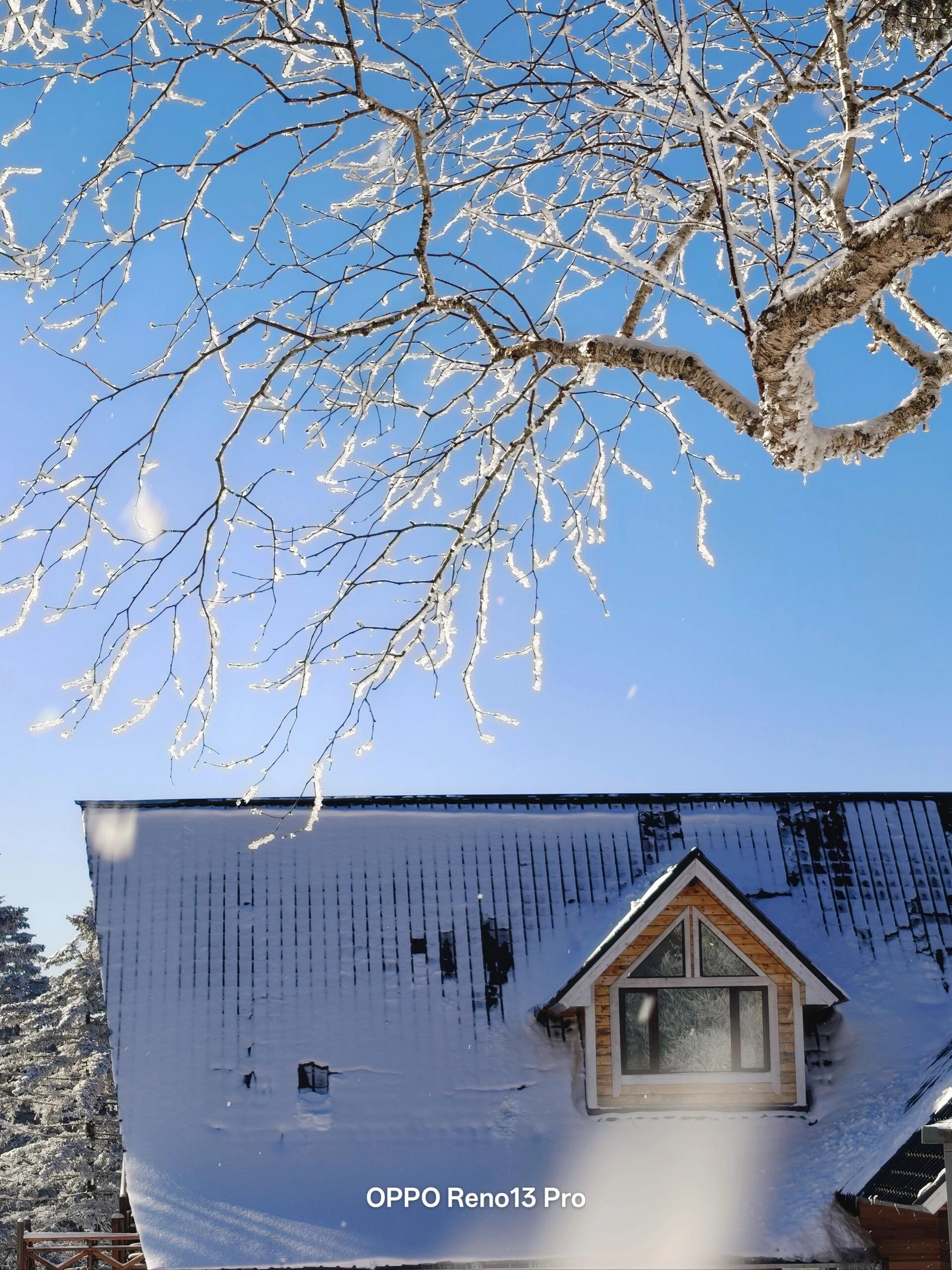 长白山雪岭景区旅行图片 2