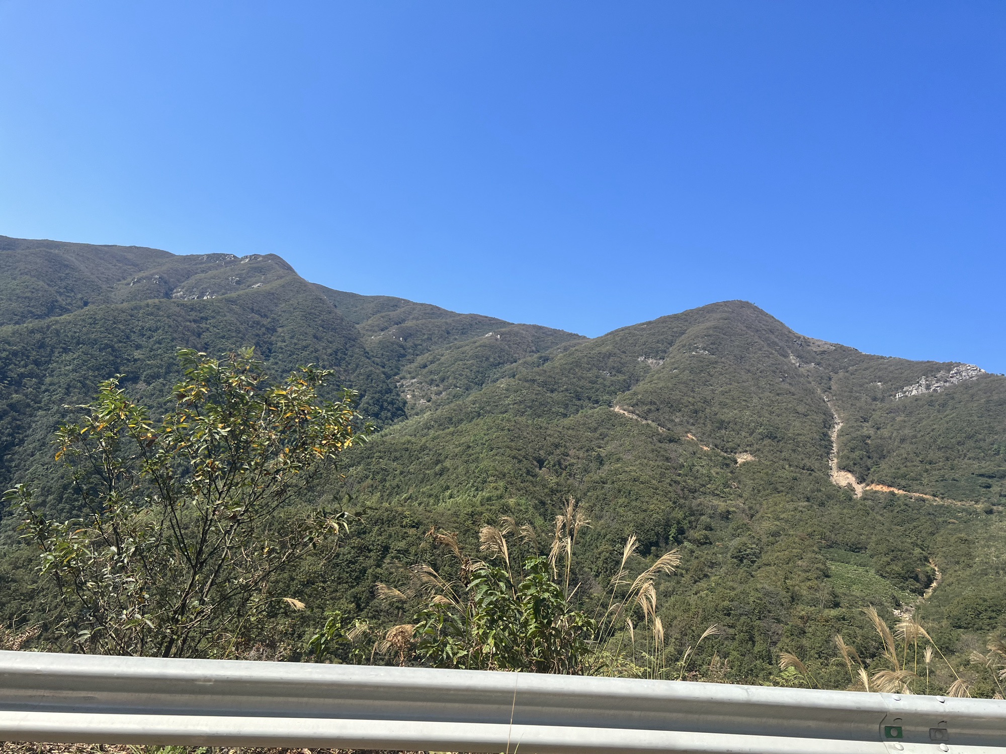 罗山谌母殿旅行图片 1