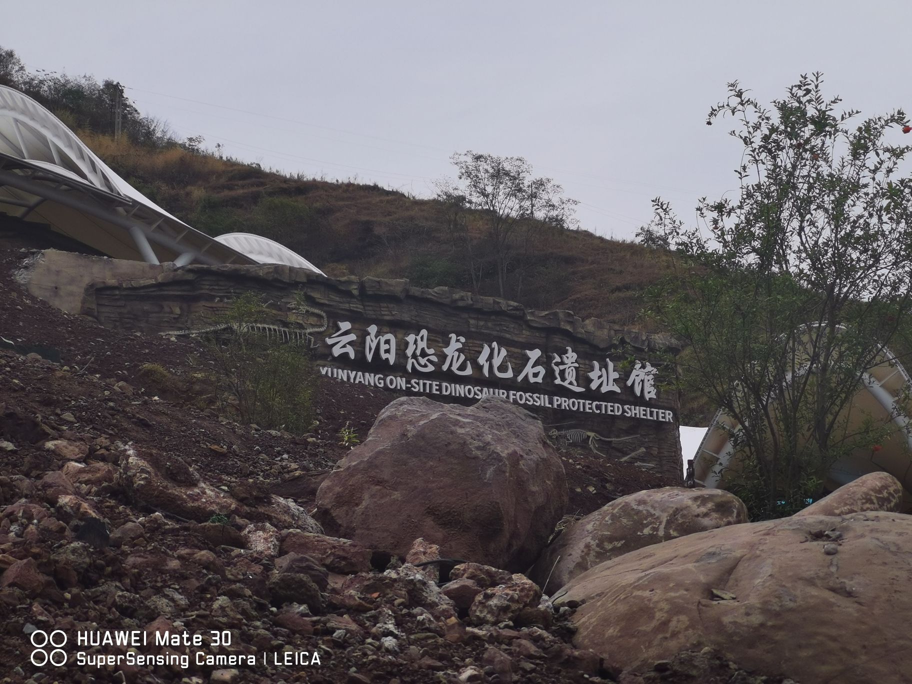 场地封面-云阳恐龙馆