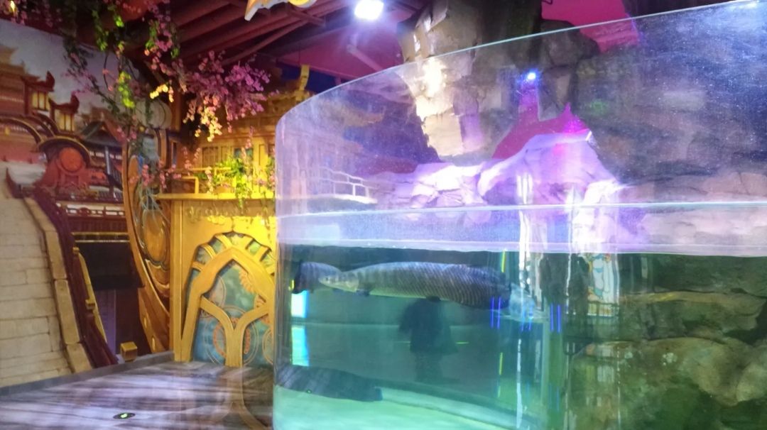 幻太奇海洋亲子主题公园旅行图片 2