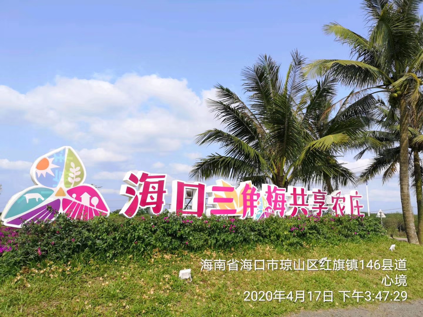 海口三角梅花展旅行图片 1