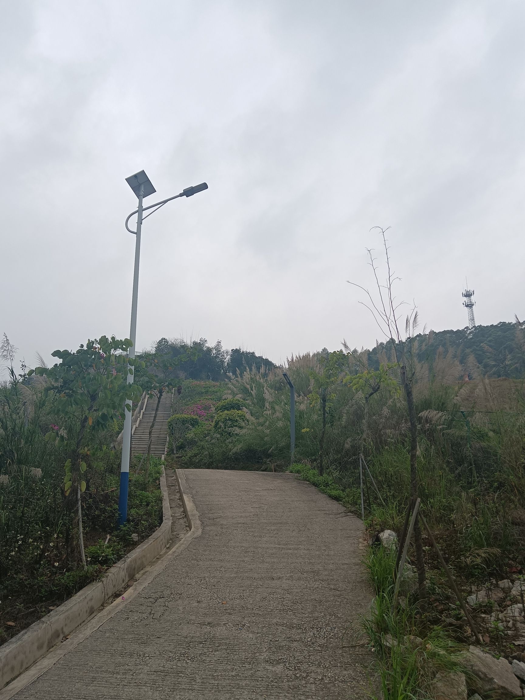 广宁市民公园(暂停开放)旅行图片 1