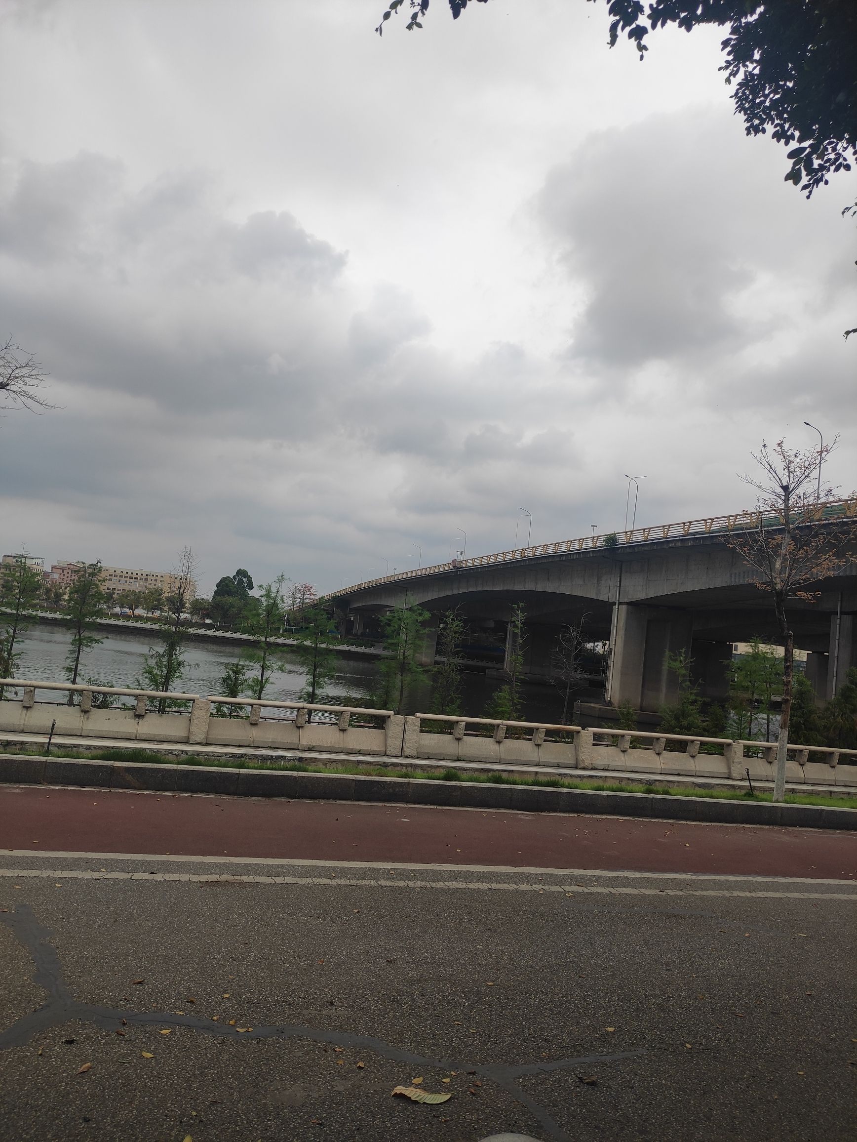 桂城滨江公园旅行图片 2