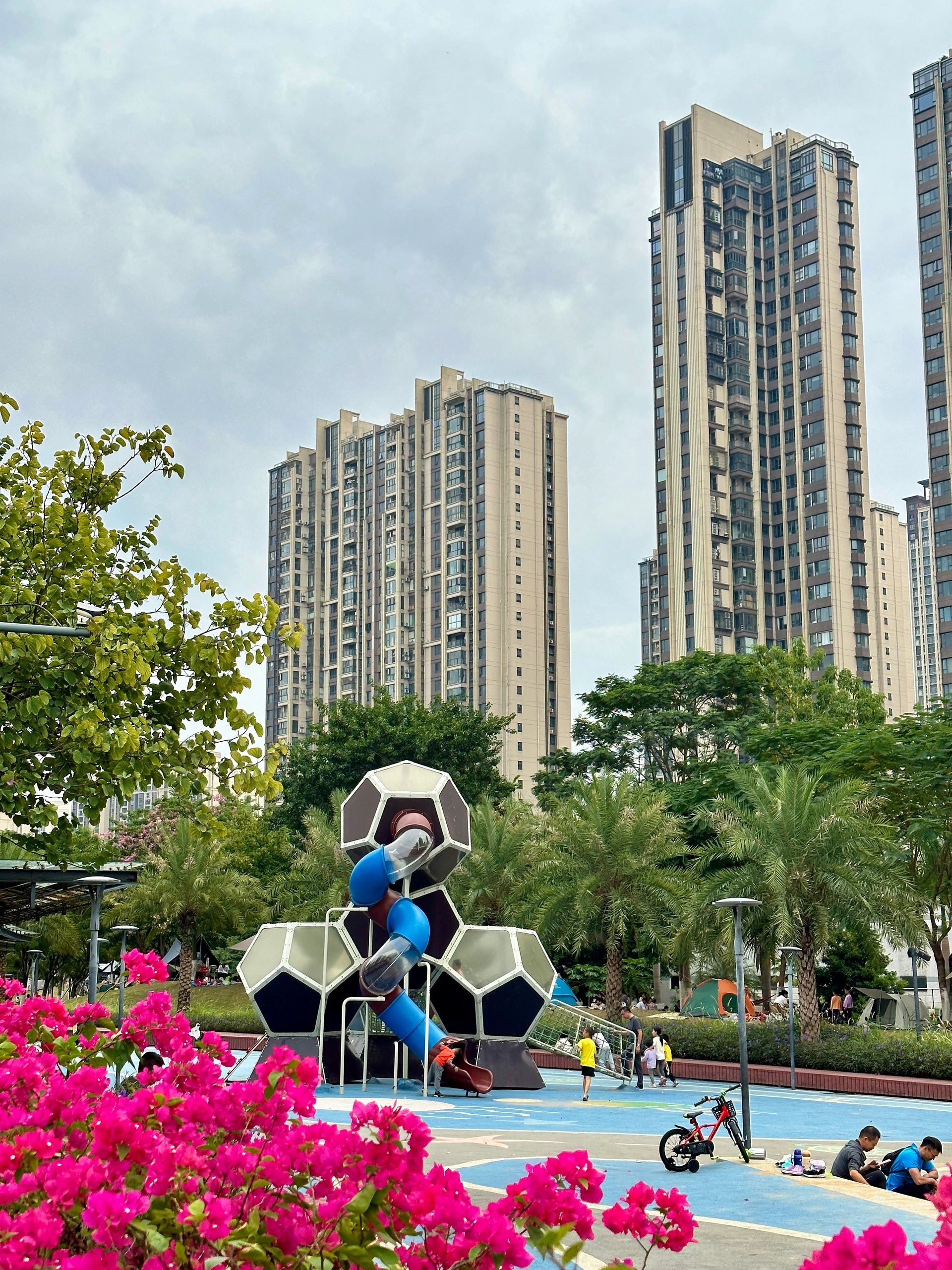 桂城滨江公园旅行图片 1