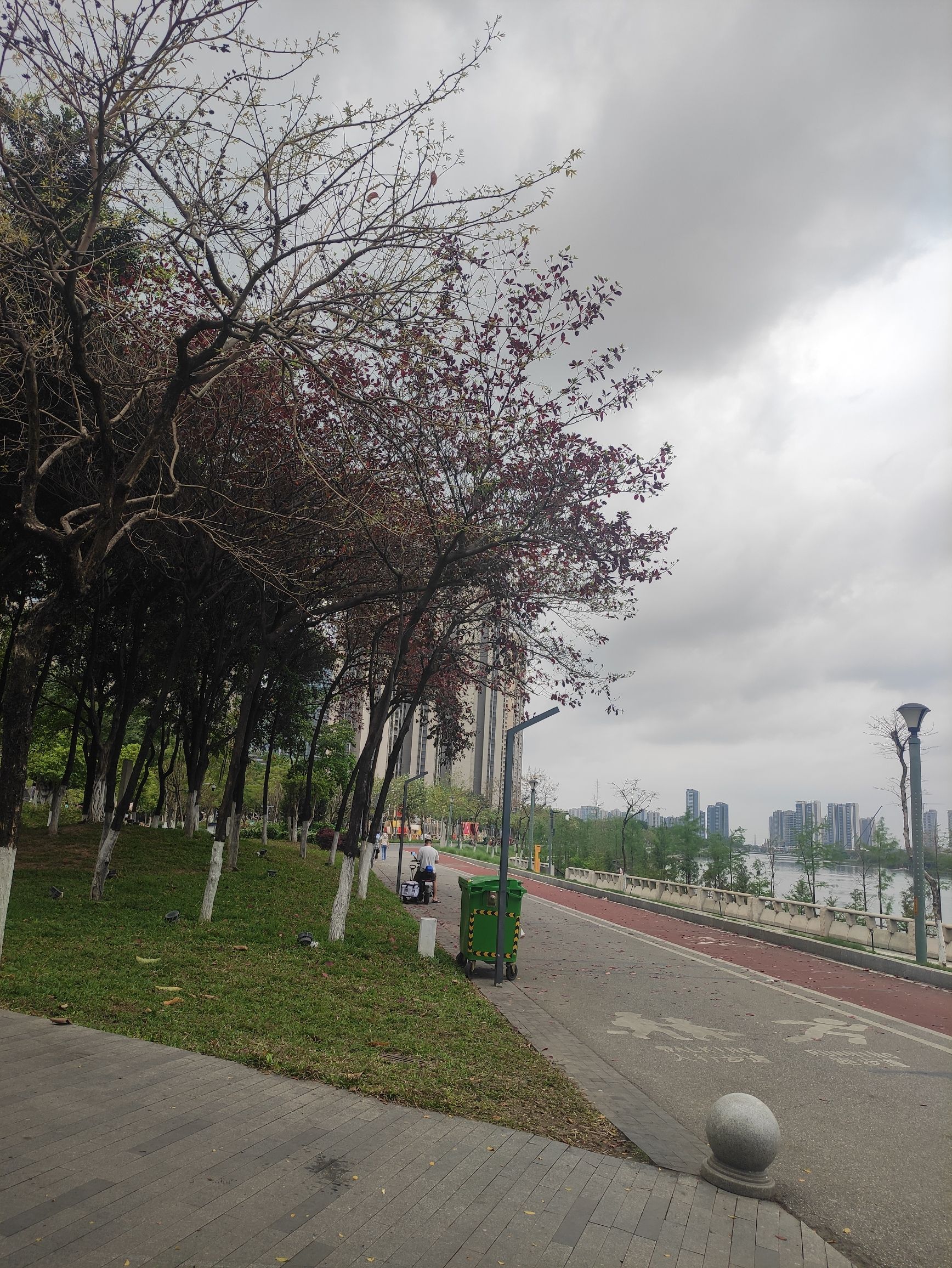 桂城滨江公园旅行图片 3