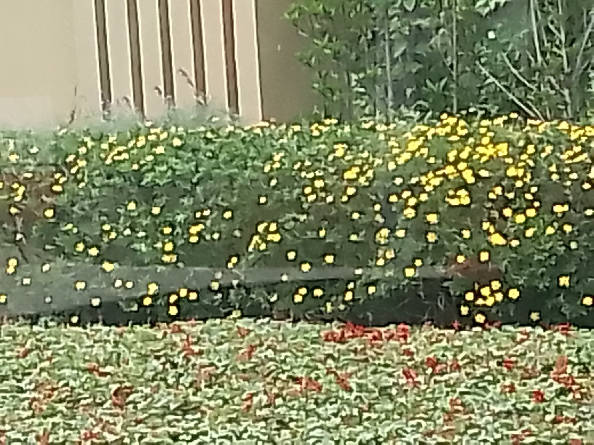 文宗苑旅行图片 2