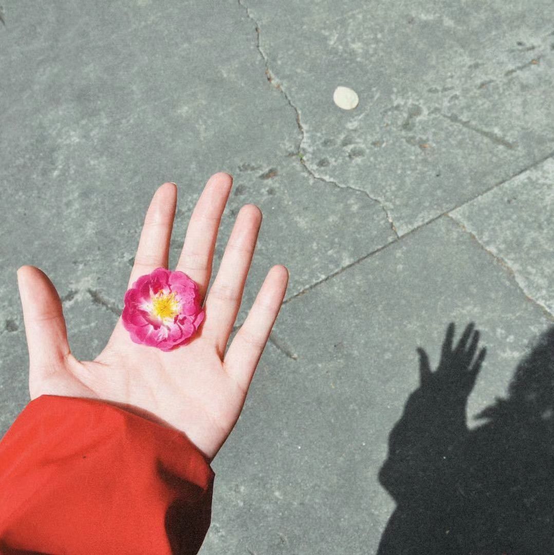 文宗苑旅行图片 1