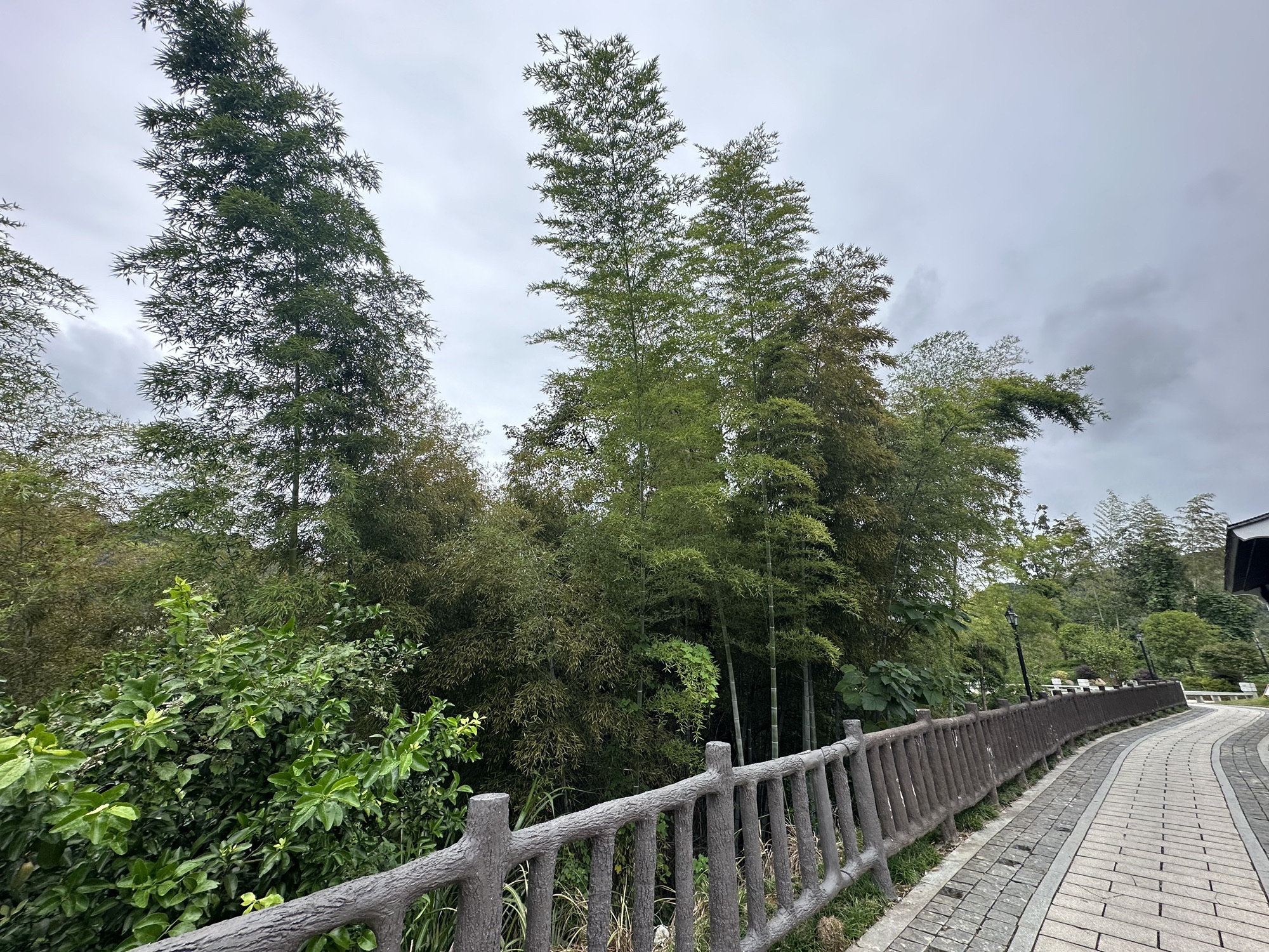 双峰塔旅行图片 2
