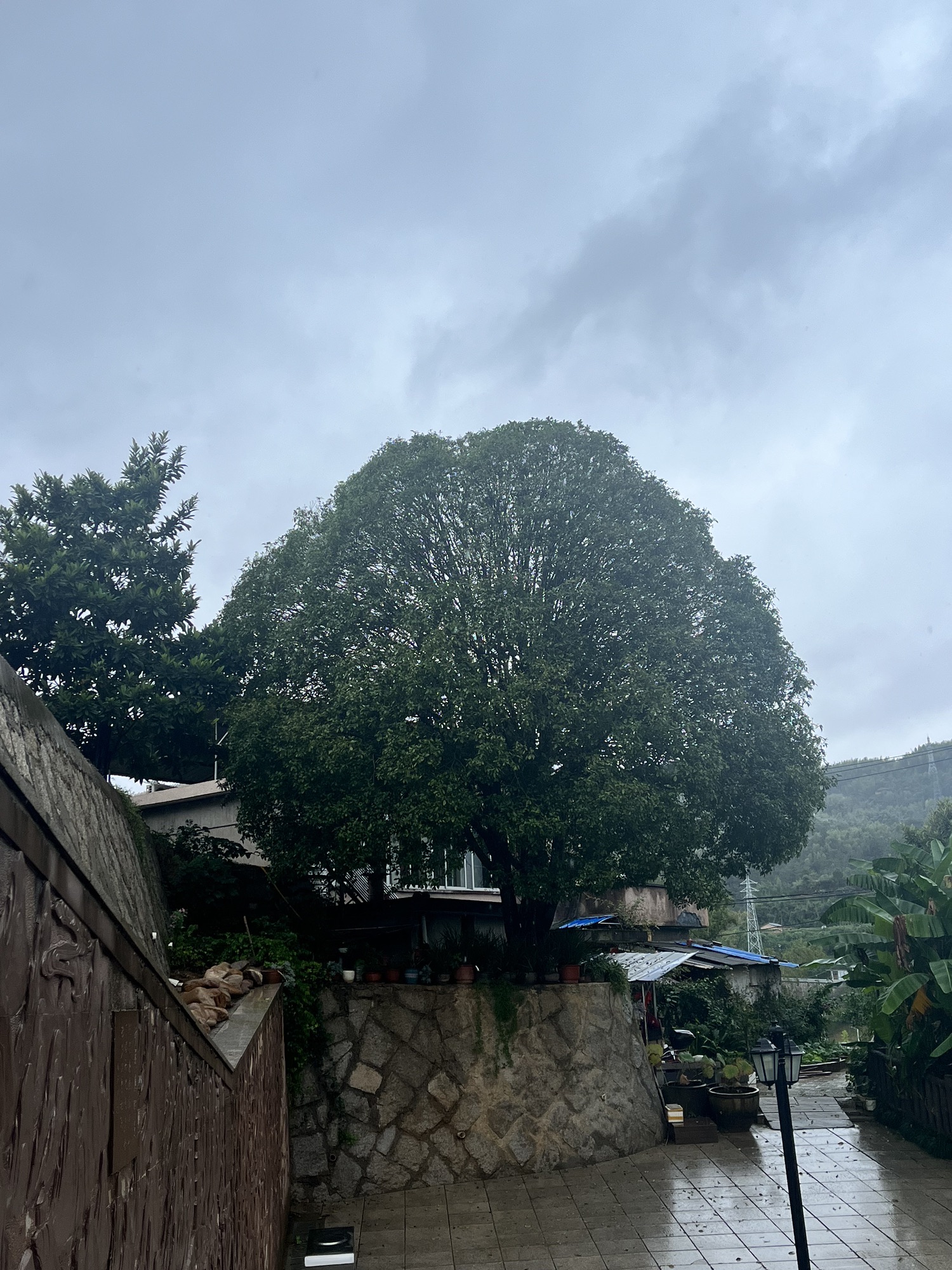 双峰塔旅行图片 3