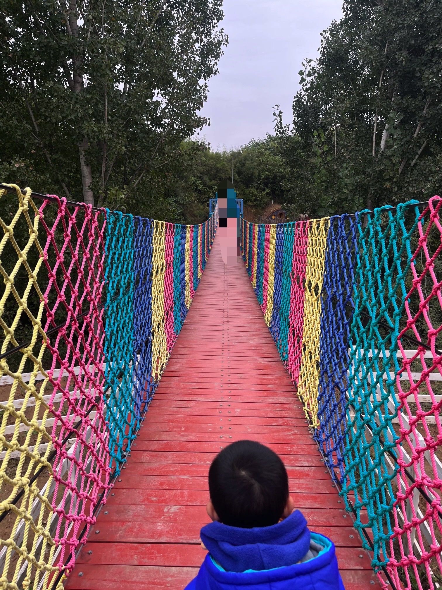 德丰园旅行图片 2