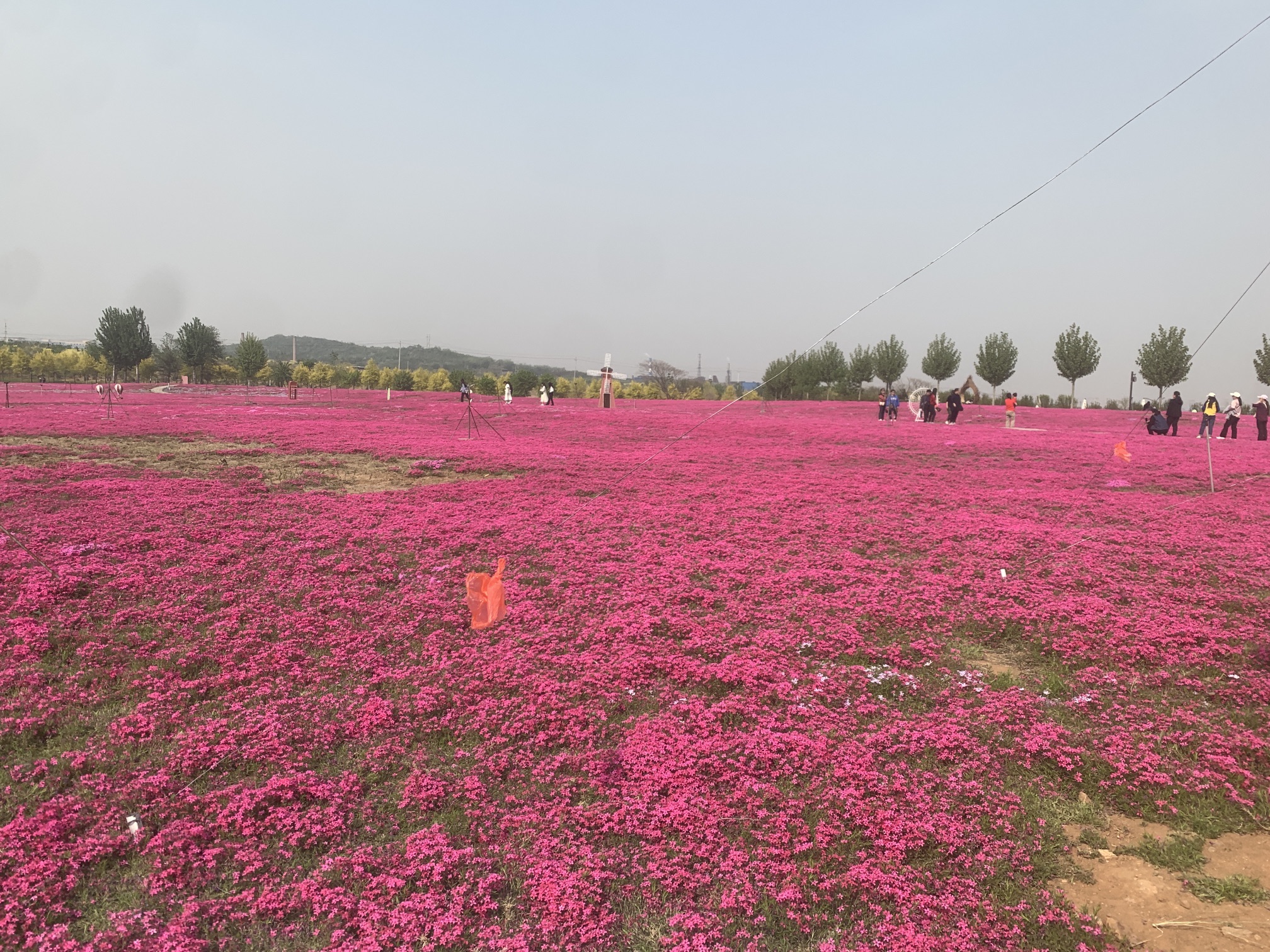 德丰园旅行图片 2