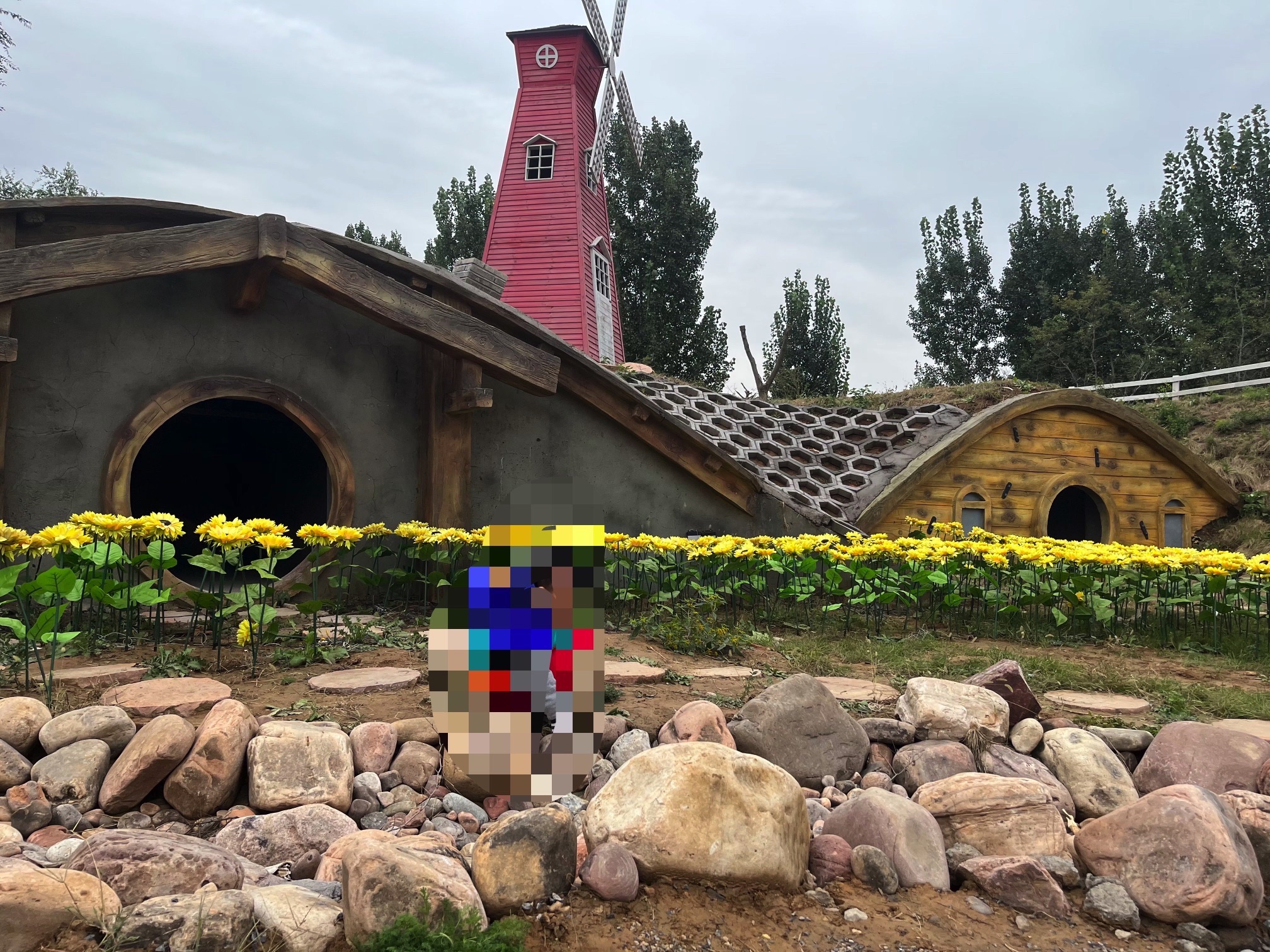 德丰园旅行图片 3