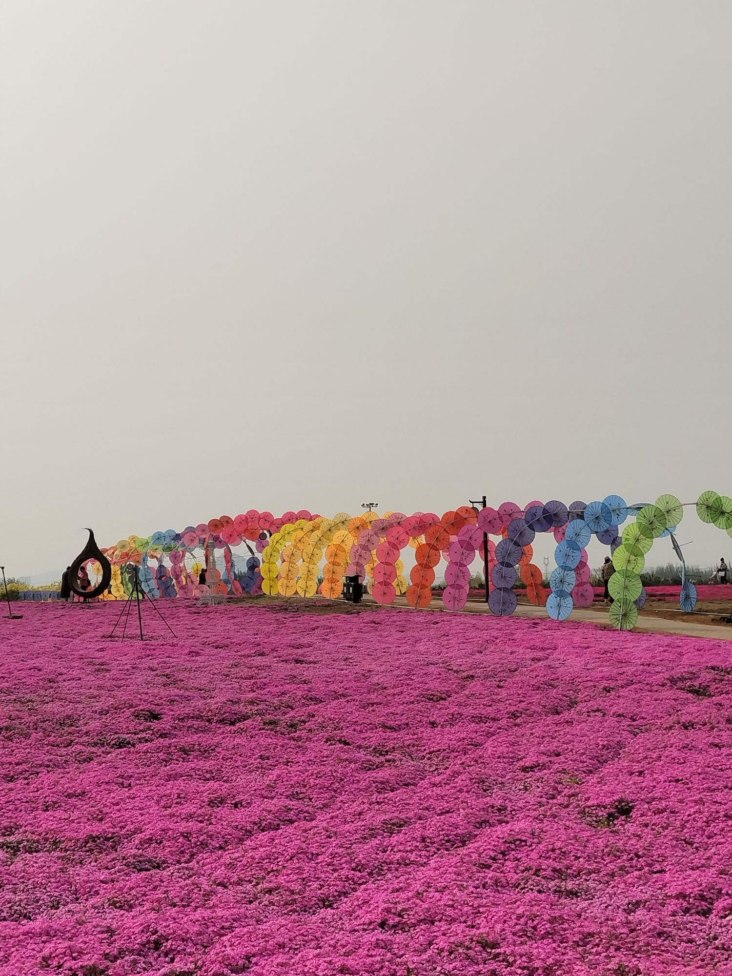 德丰园旅行图片 3