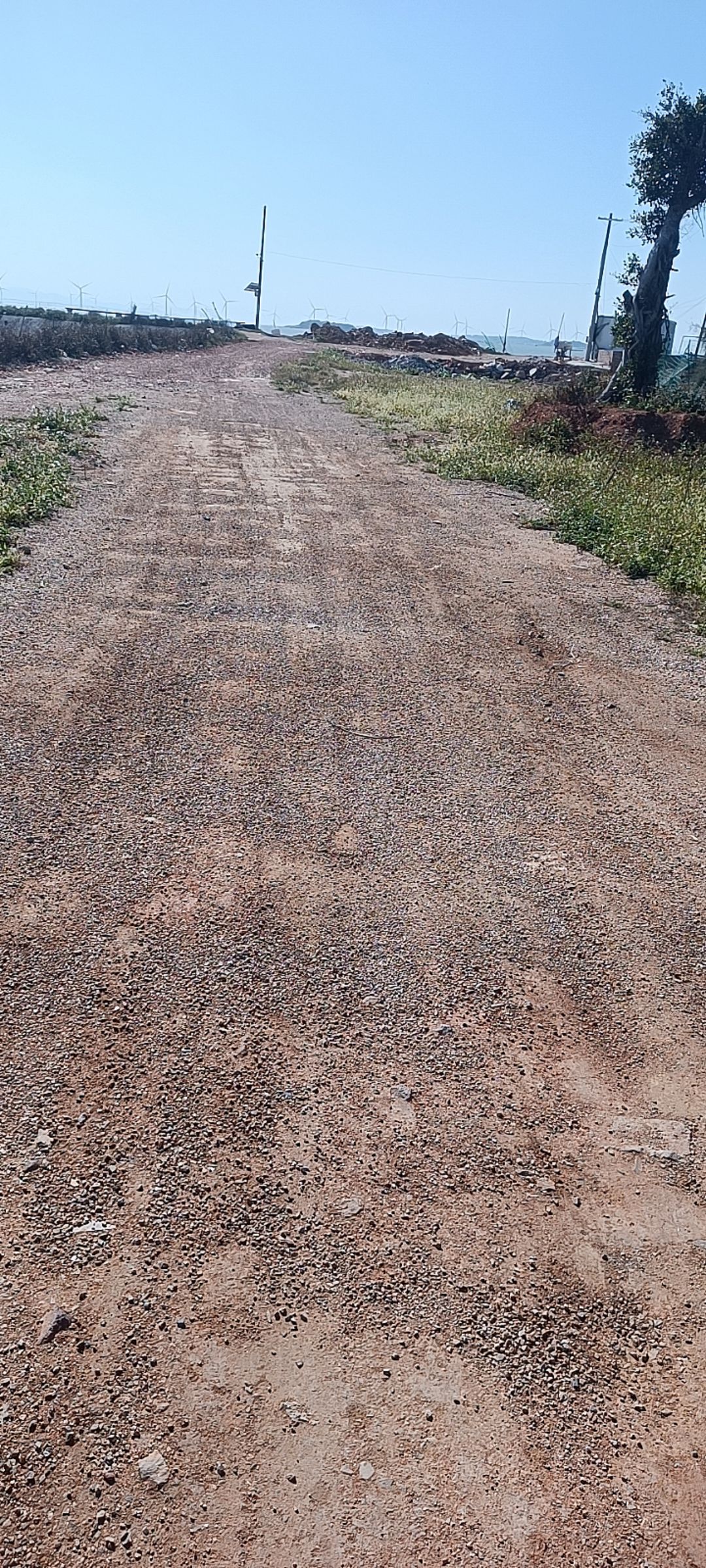 海滨公园旅行图片 1