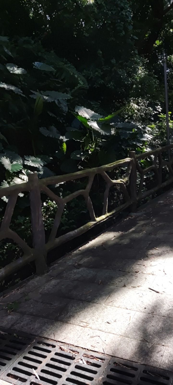 塔山文化公园旅行图片 2