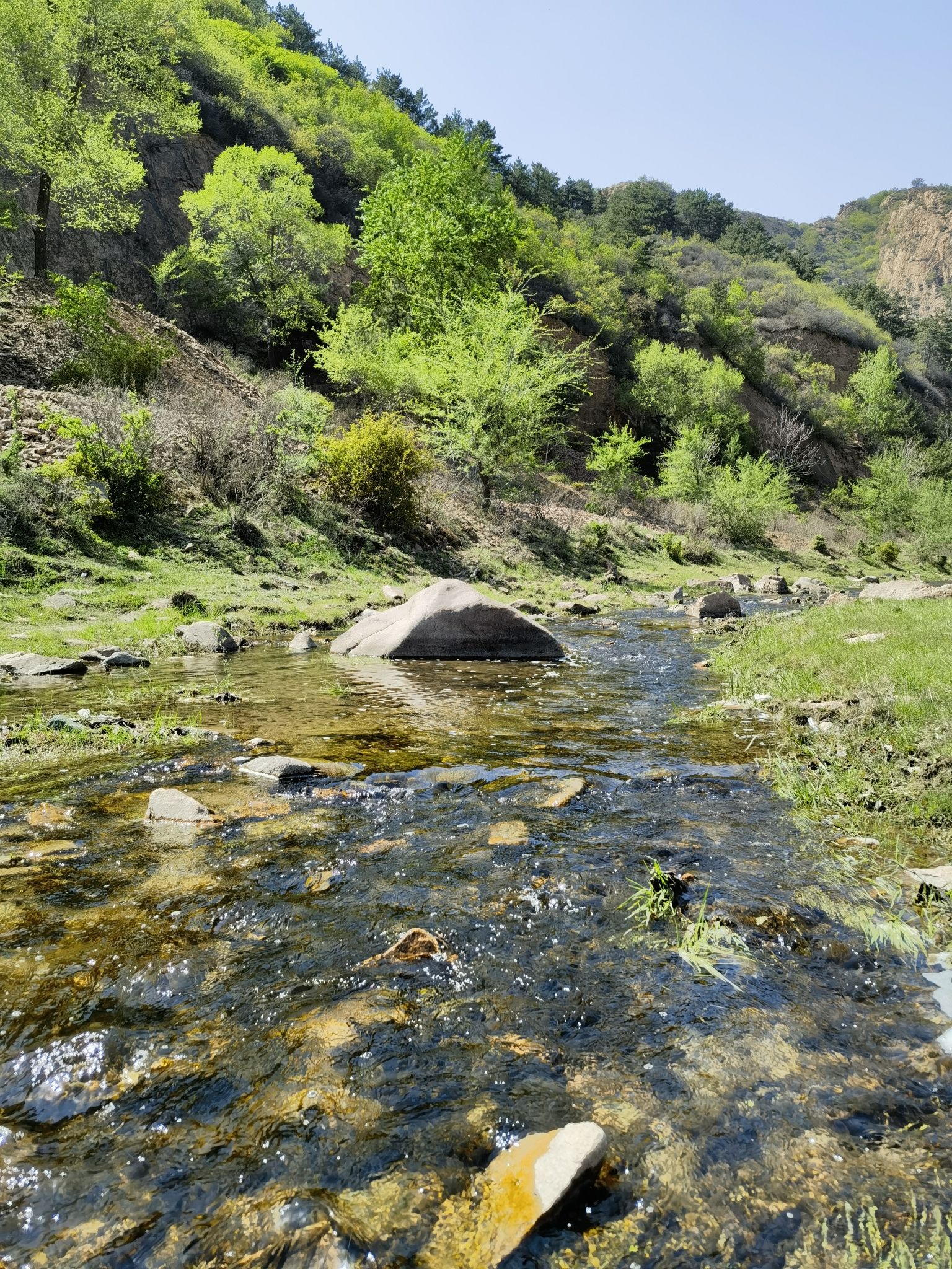 山湾子省级森林公园旅行图片 3