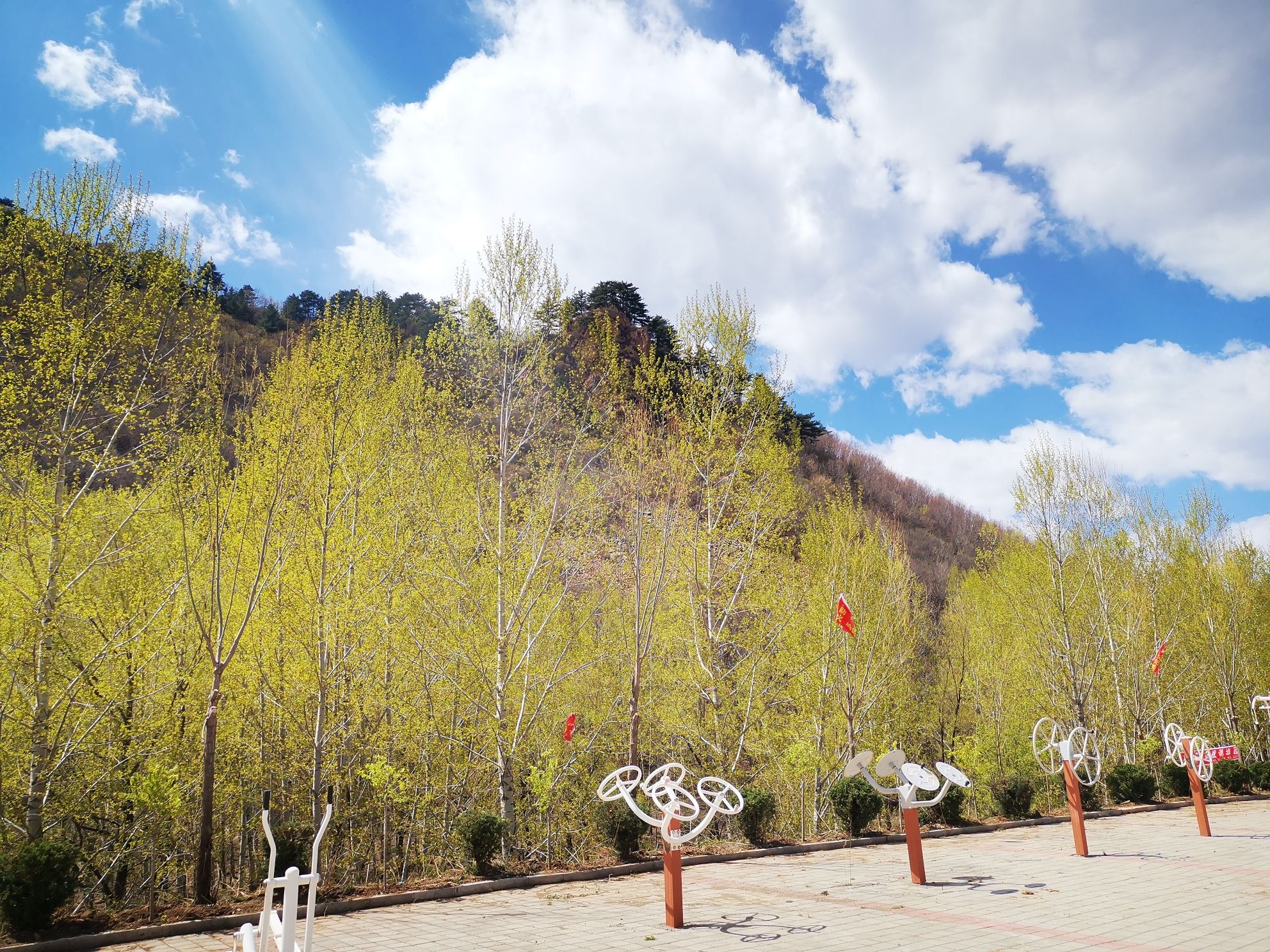 山湾子省级森林公园旅行图片 2