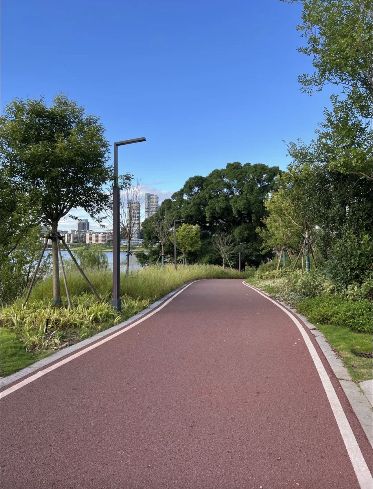湿地公园旅行图片 3