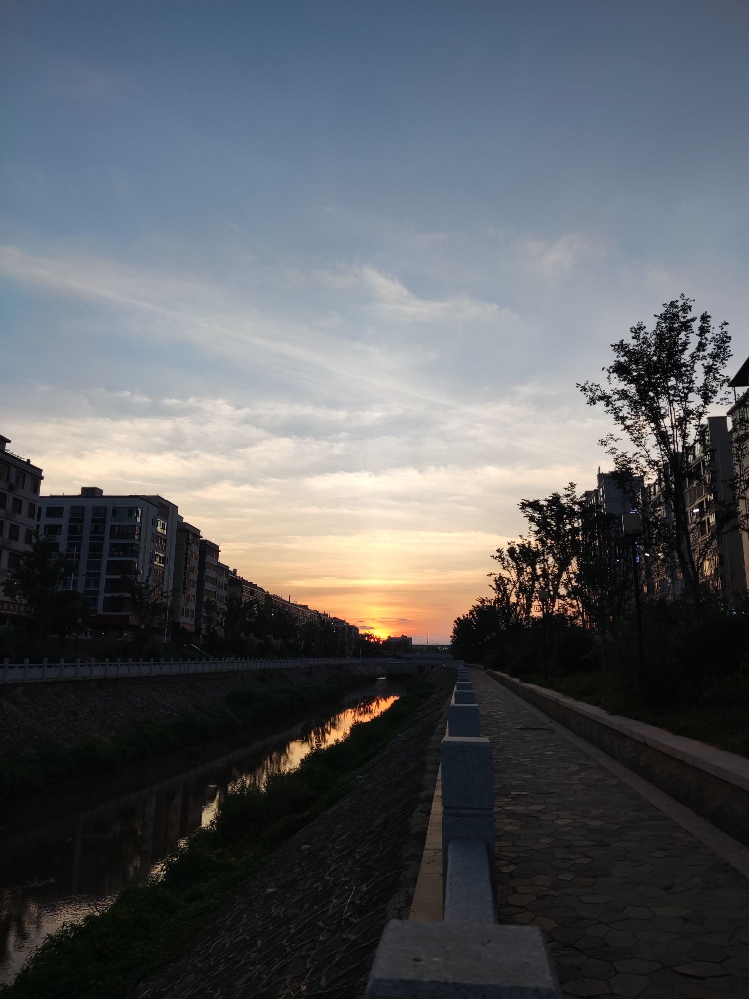 湿地公园旅行图片 1