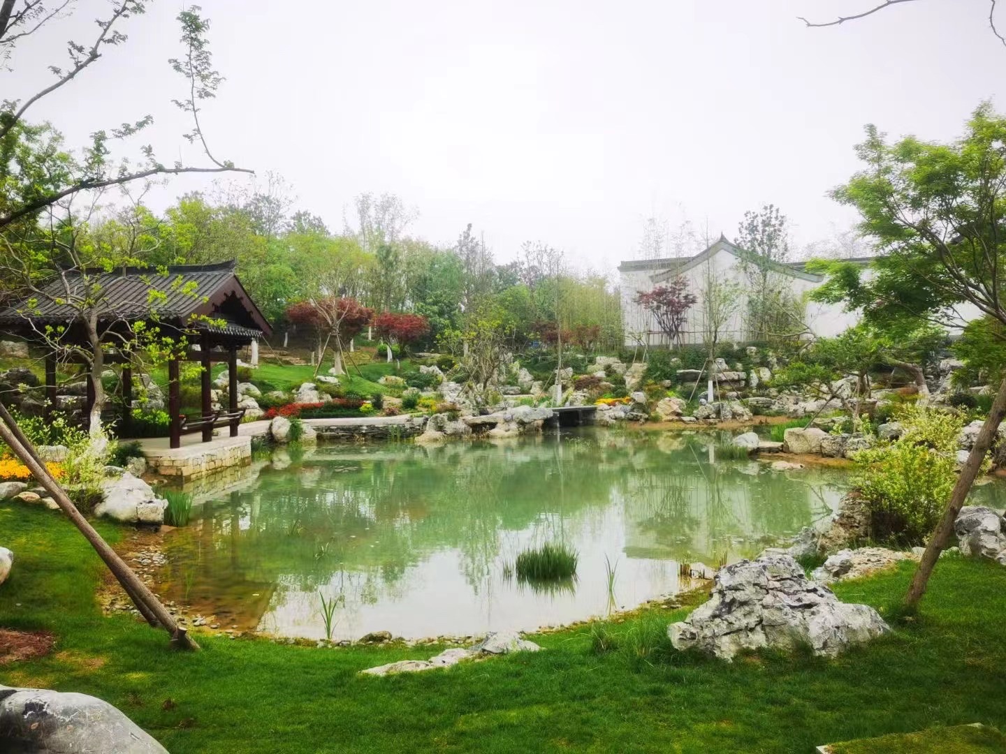 合肥园博园旅行图片 2