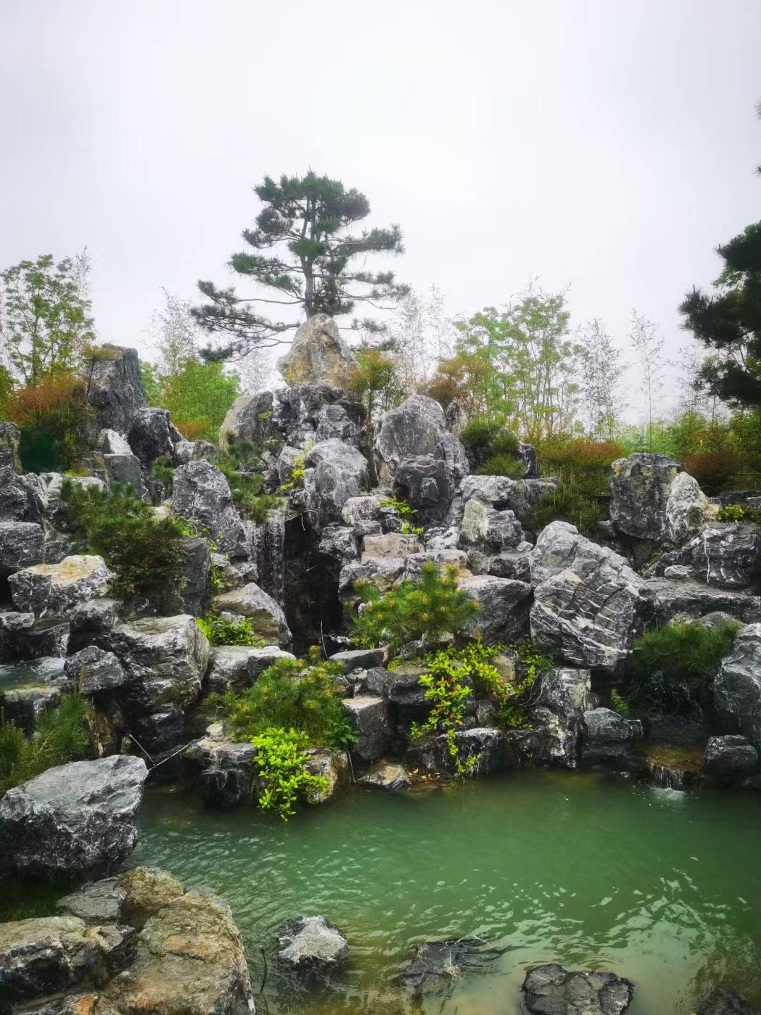 合肥园博园旅行图片 3
