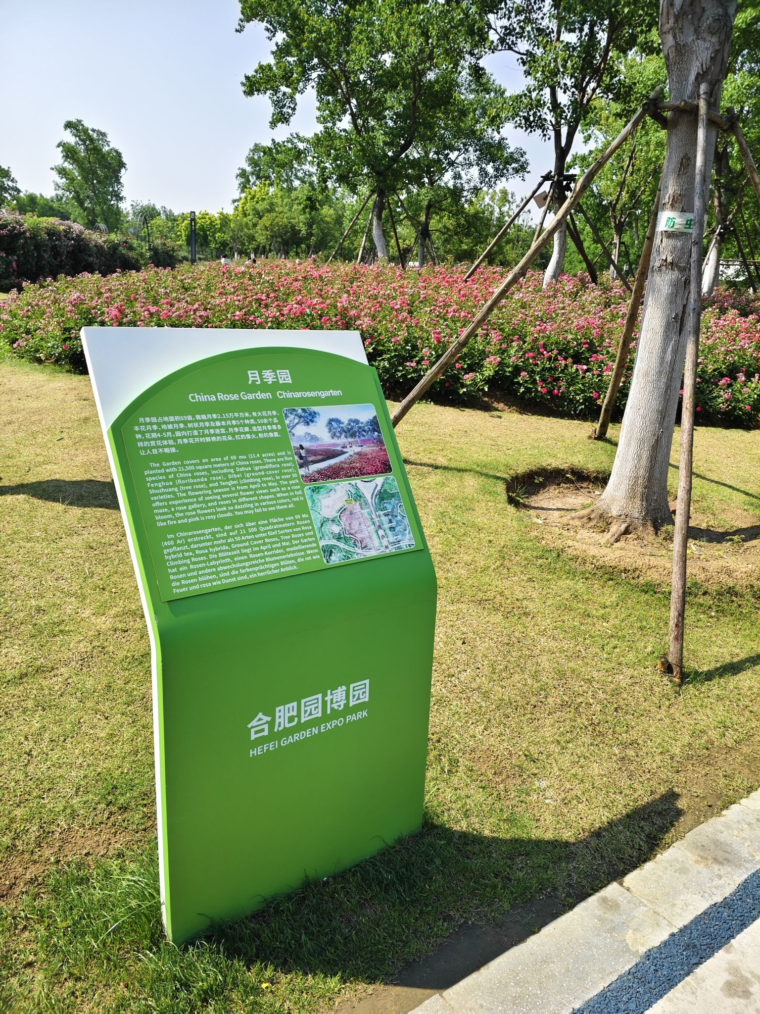 合肥园博园