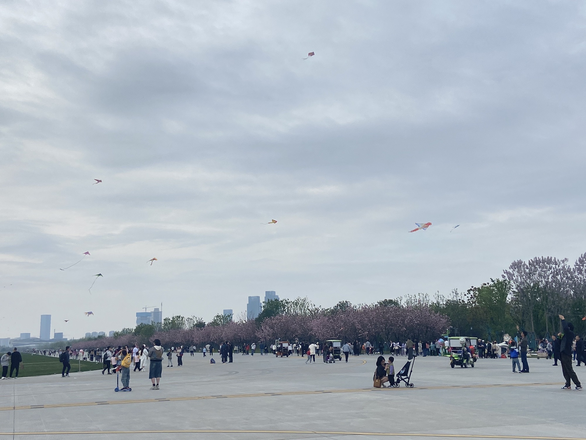 合肥园博园旅行图片 2