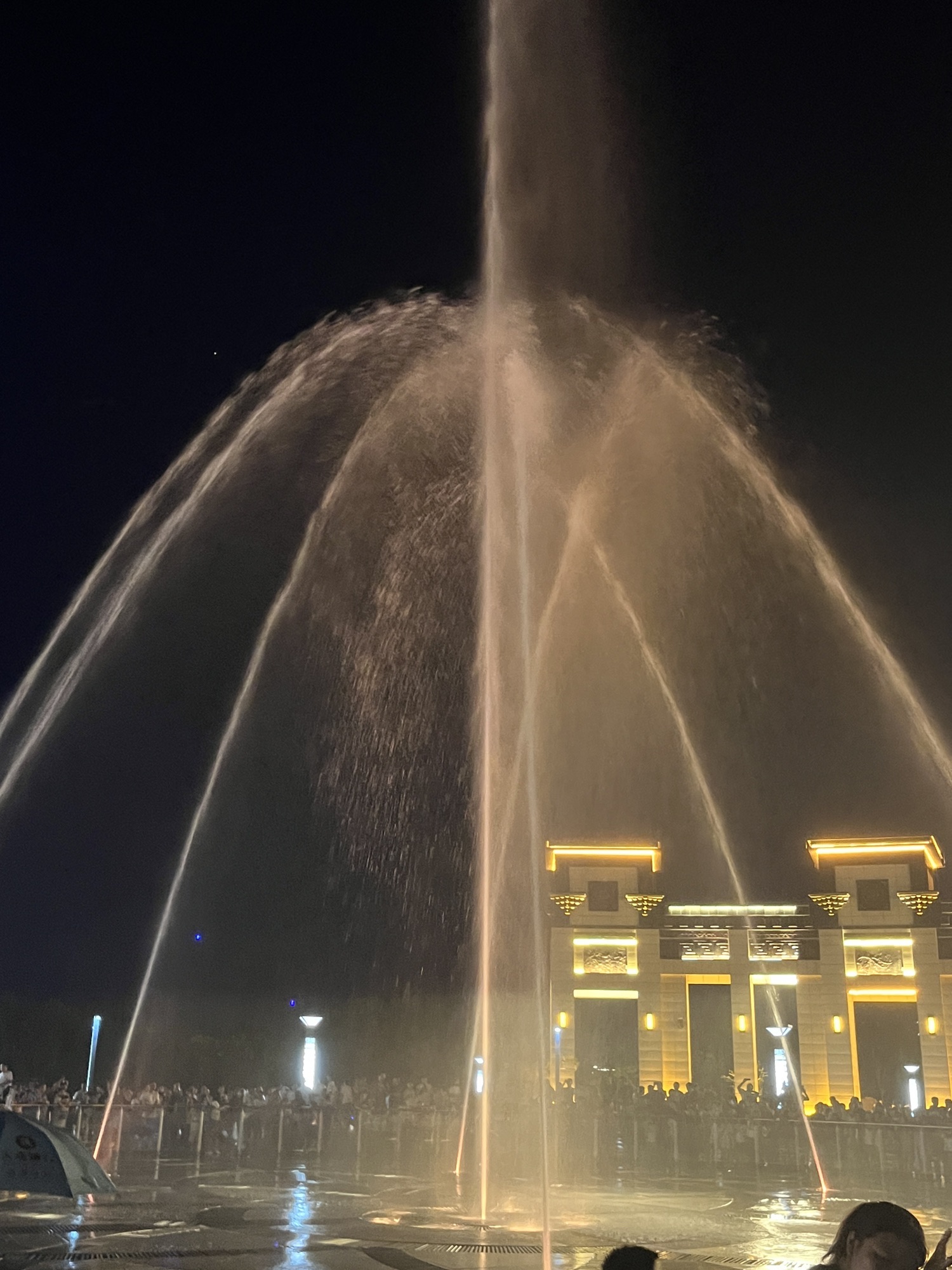 凤凰公园旅行图片 2
