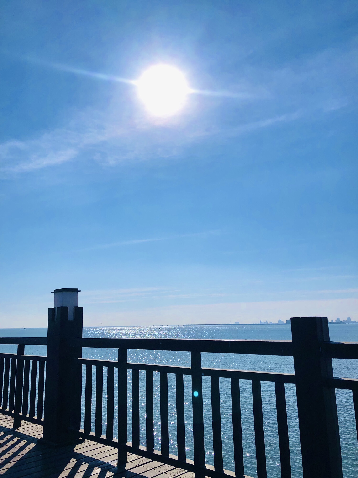 观海栈桥旅行图片 3