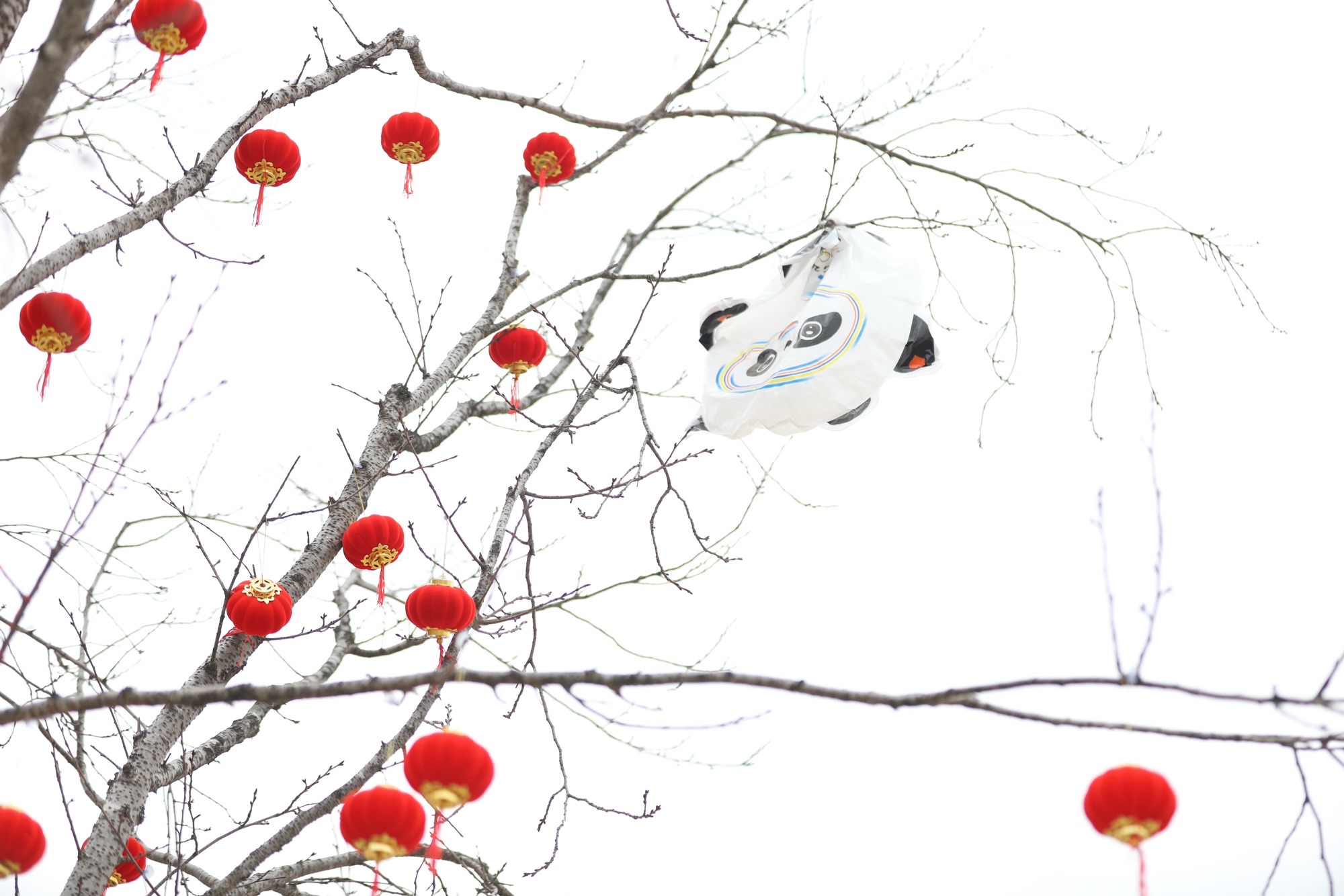东外滩青春公园旅行图片 1