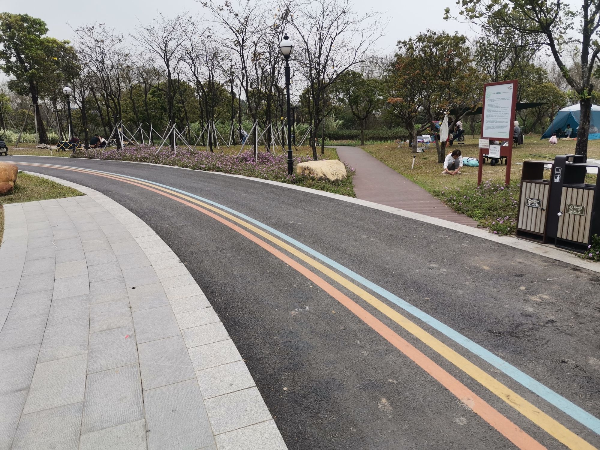 桂城西龙湿地公园旅行图片 2