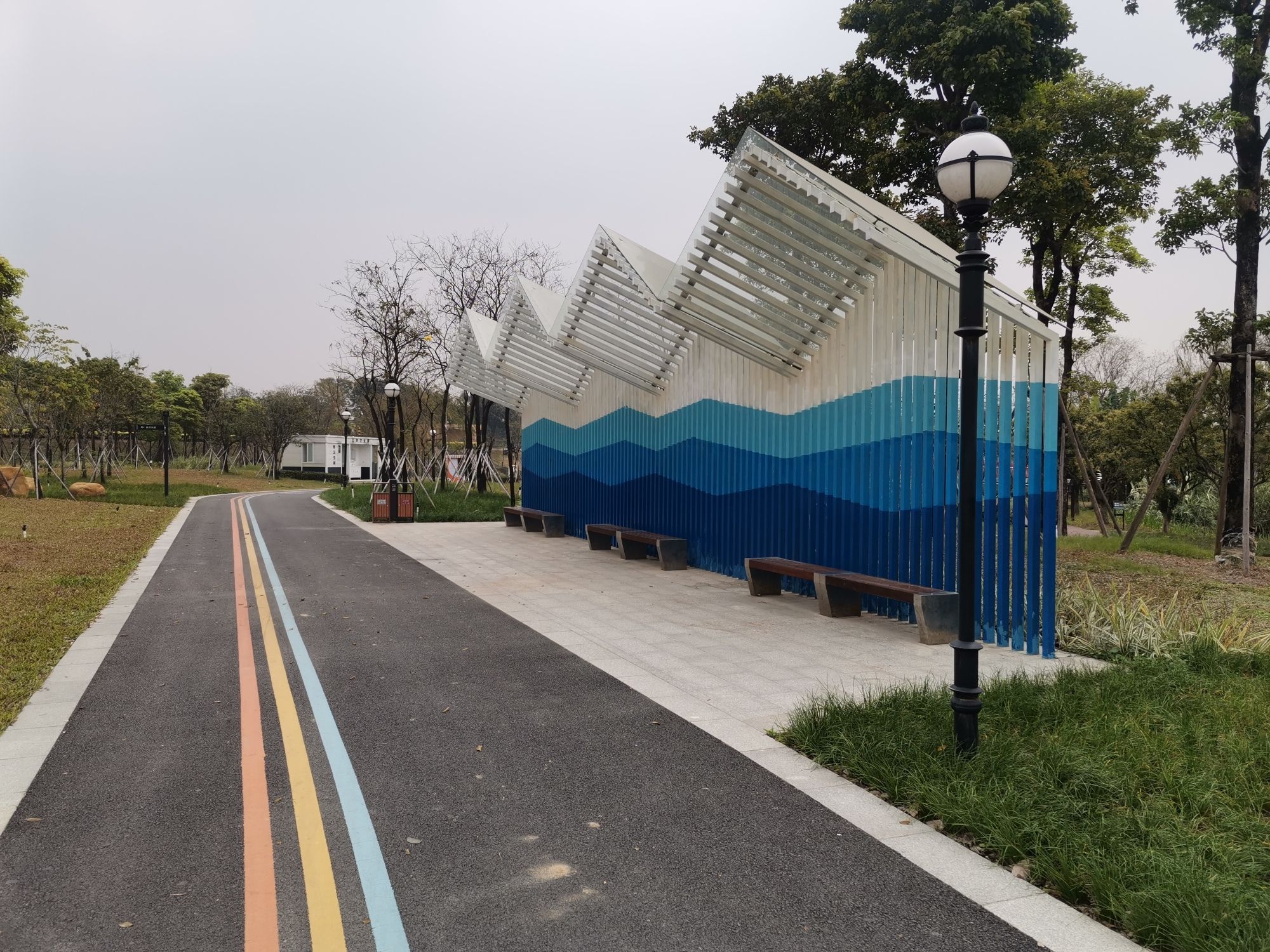 桂城西龙湿地公园旅行图片 1