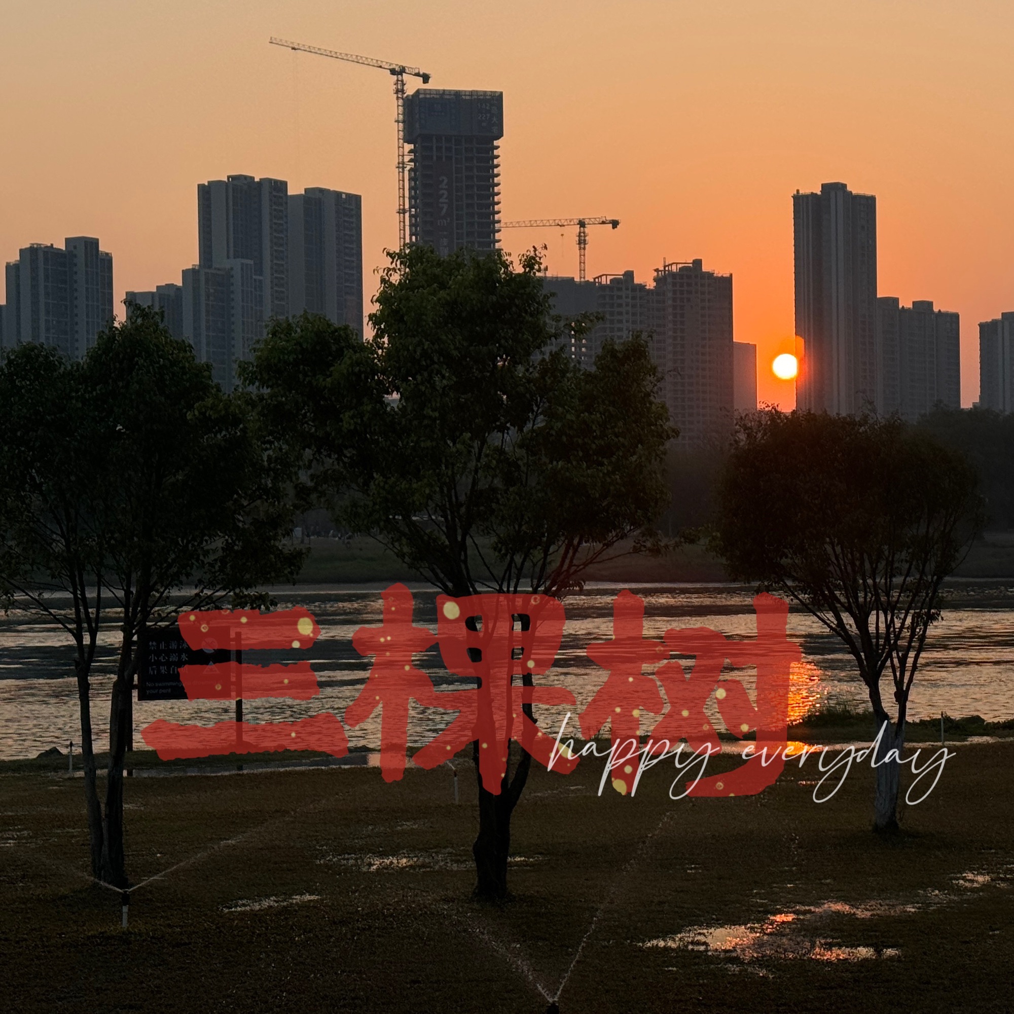桂城西龙湿地公园旅行图片 1