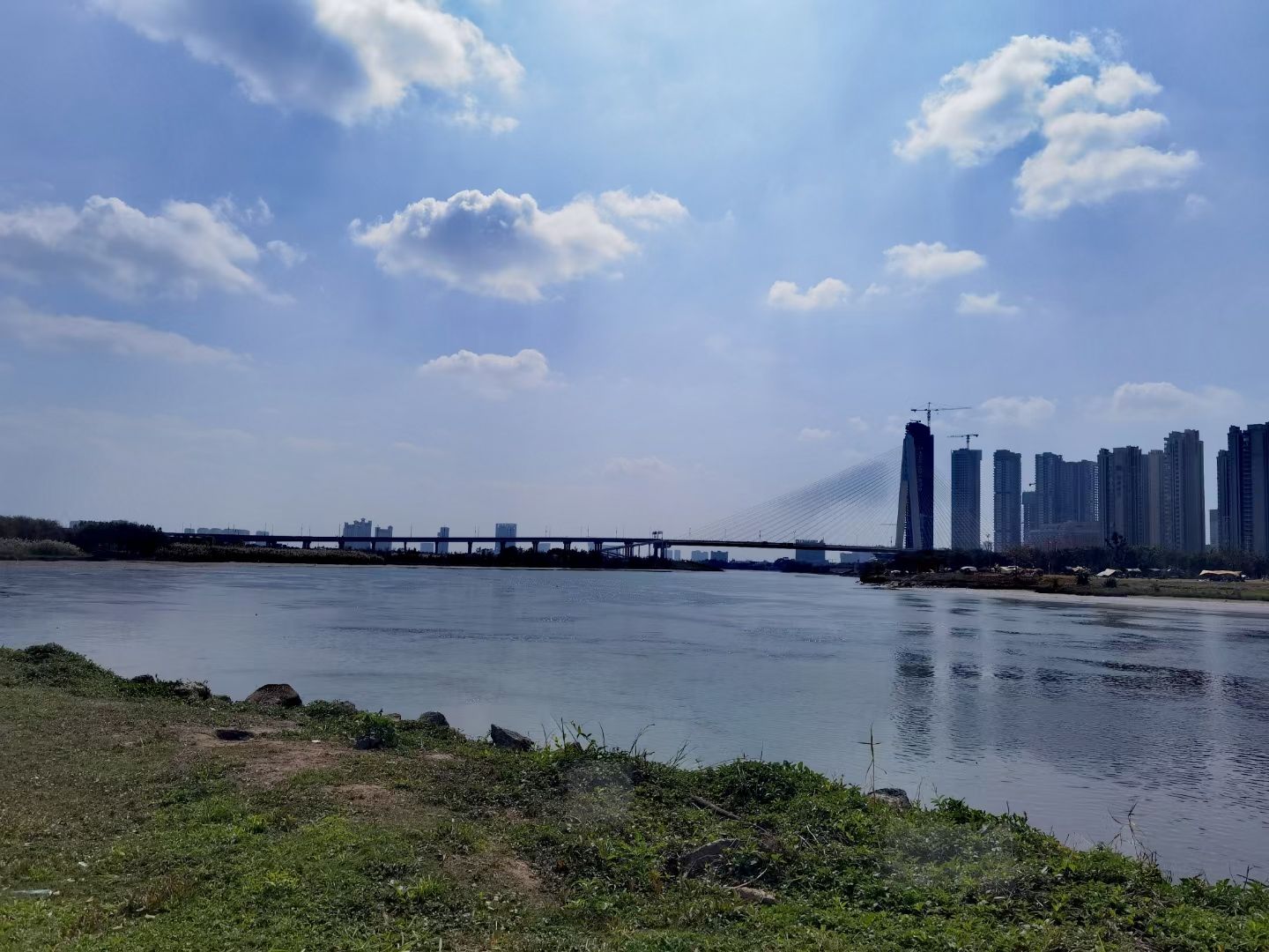 桂城西龙湿地公园旅行图片 2